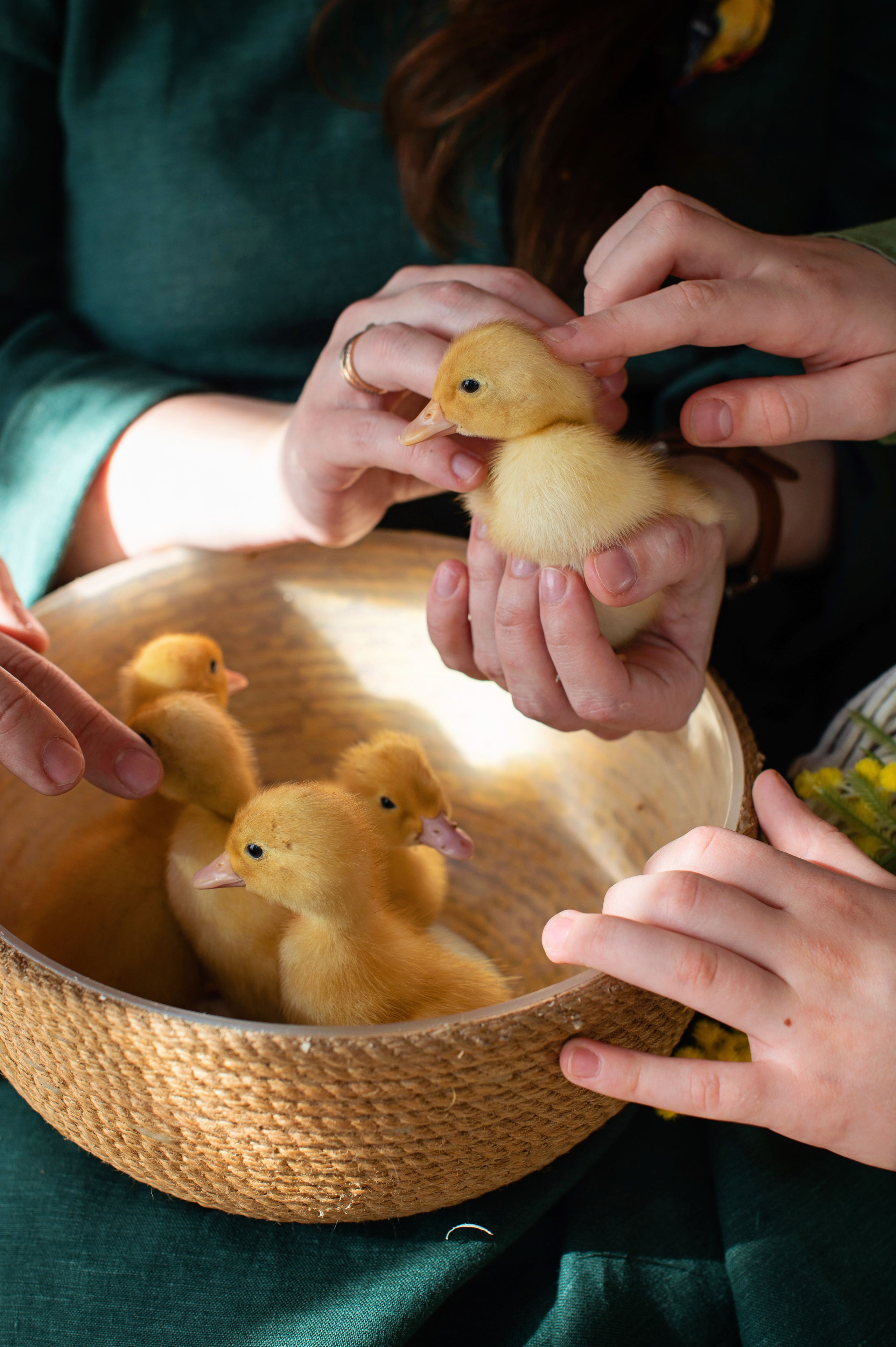 Семейные. Семейный и портретный фотограф Надежда Вылку