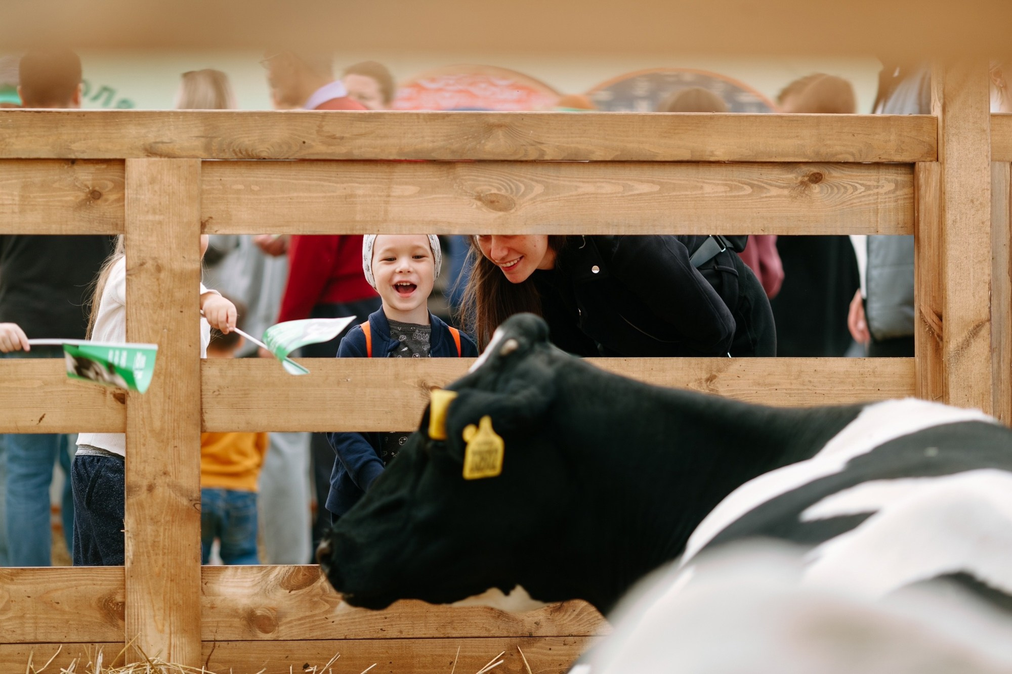 Фотограф | оператор | аэросъемка Санкт-Петербург Москва