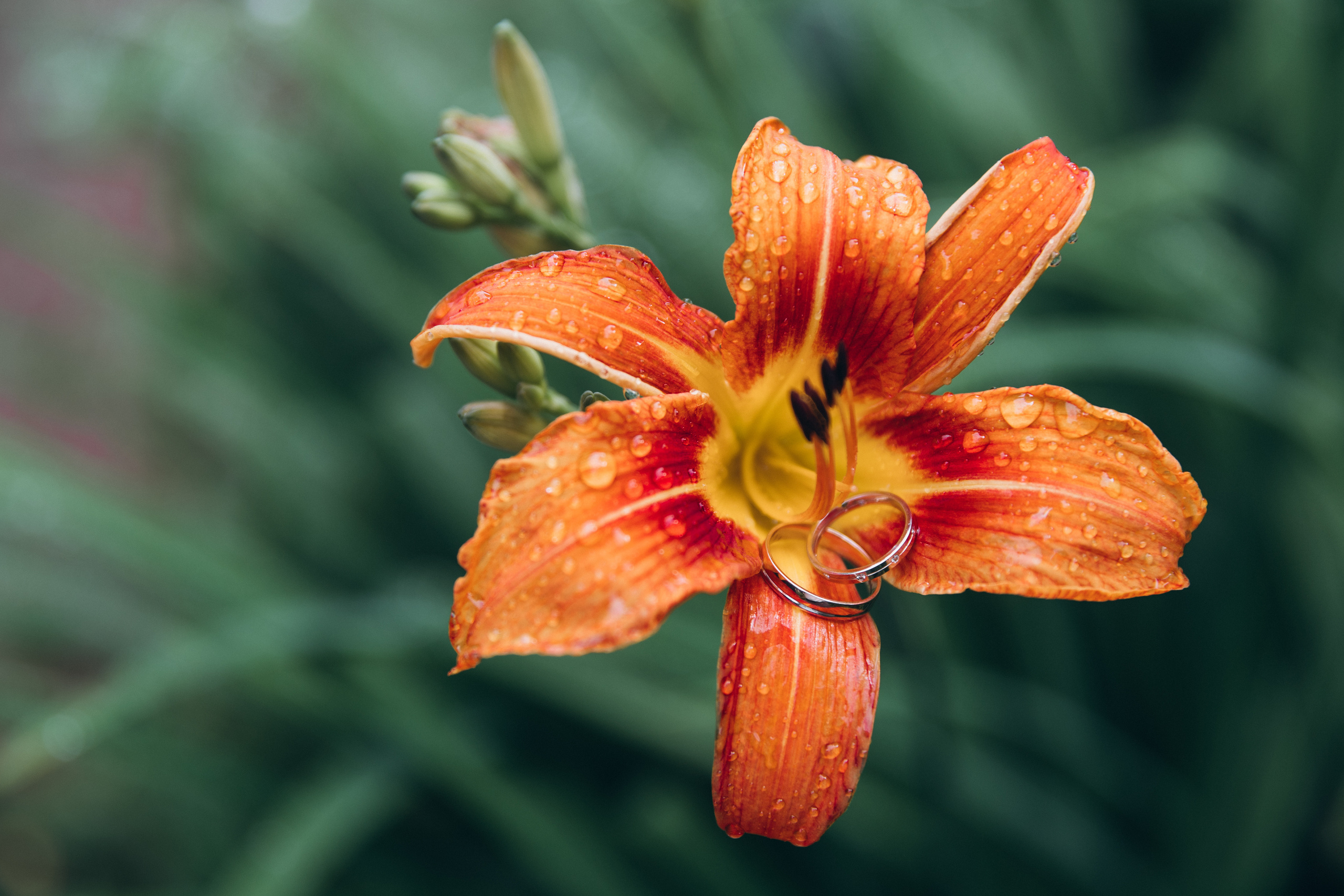 Свадебный фотограф в Санкт-Петербурге Илья Михеев