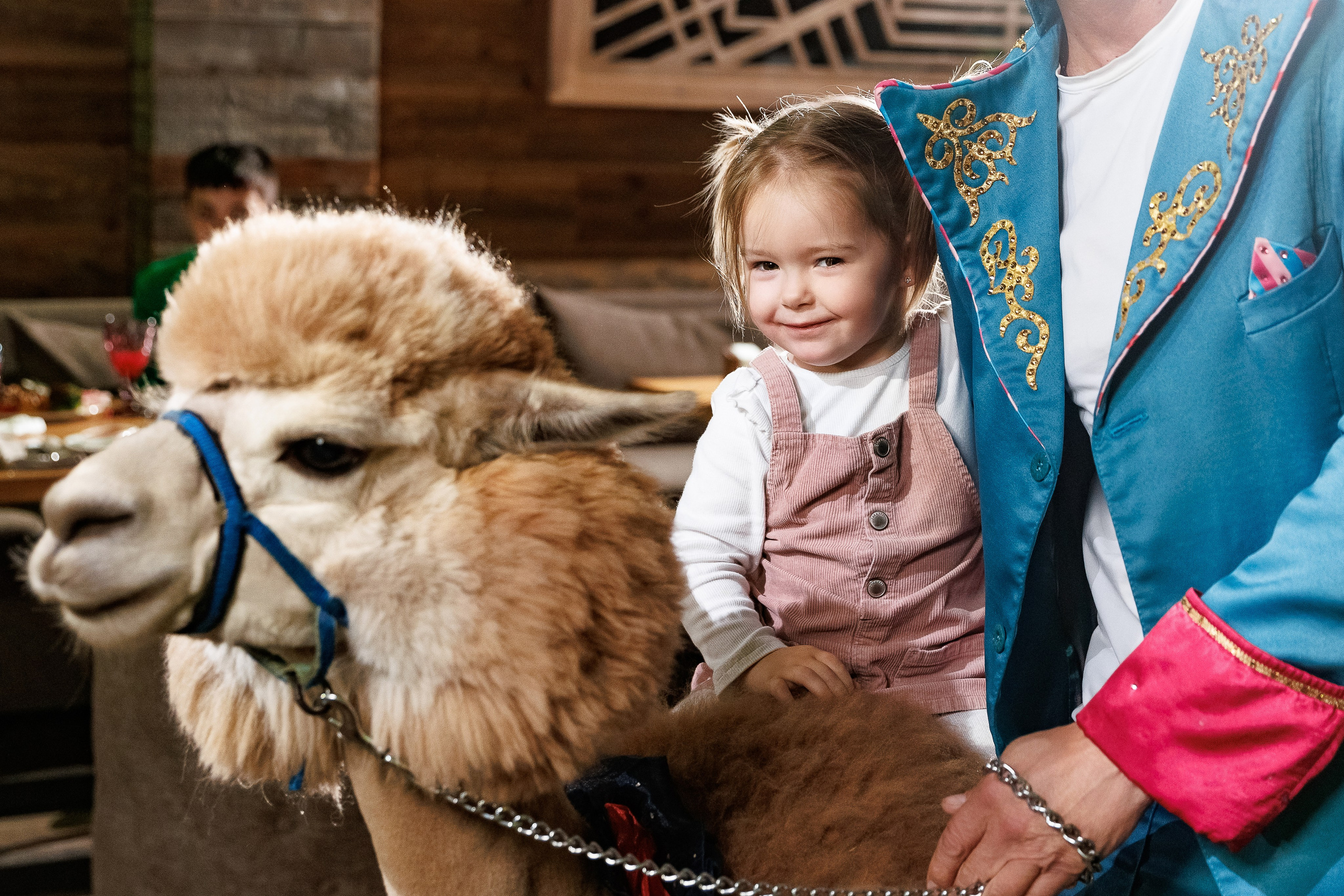 Лама и Альпака