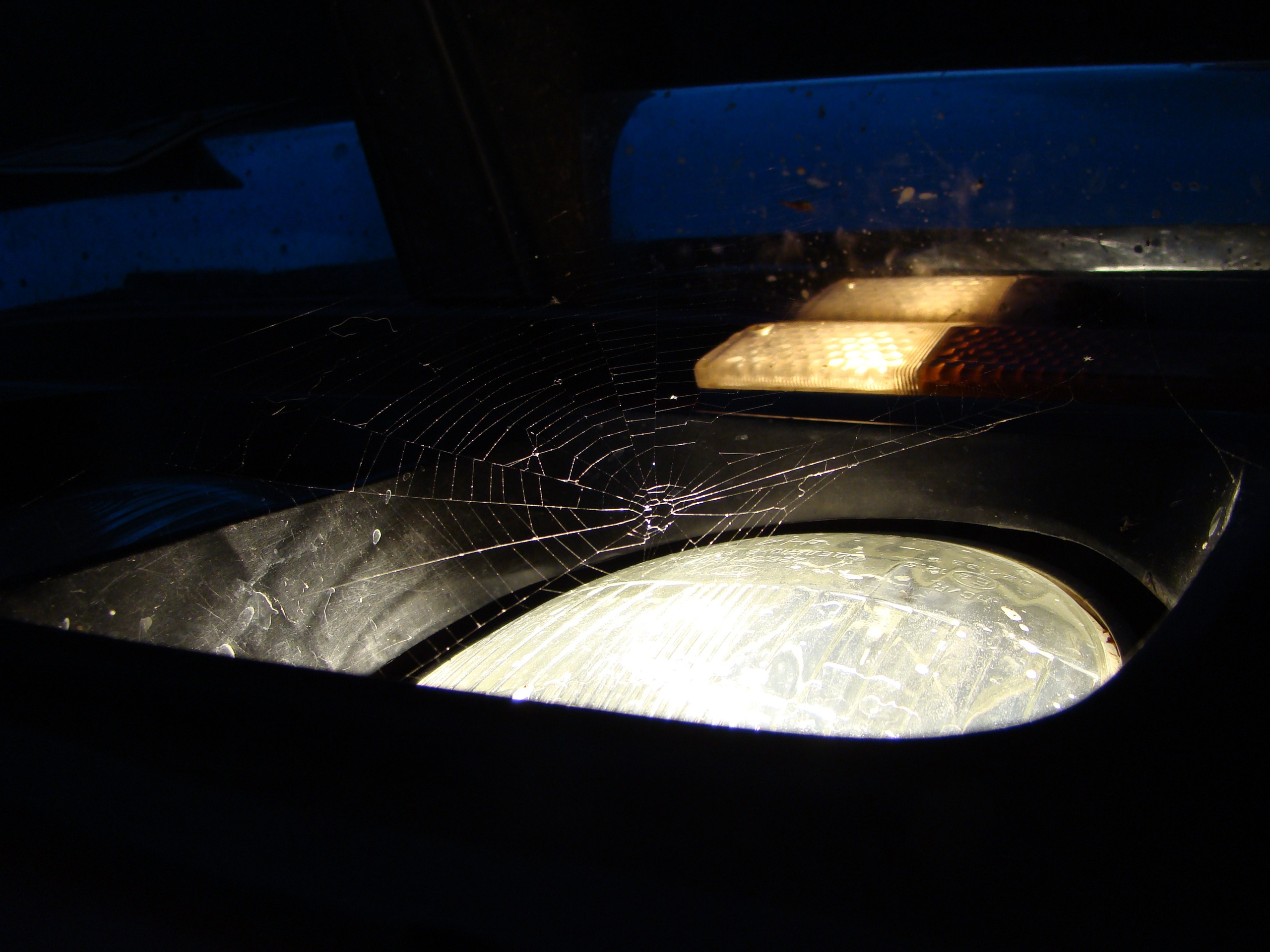 Кабардинка (фото Зевиных) 25.06-24.07.2008. Семейный, Свадебный фотограф СПБ Питер— Романова Екатерина