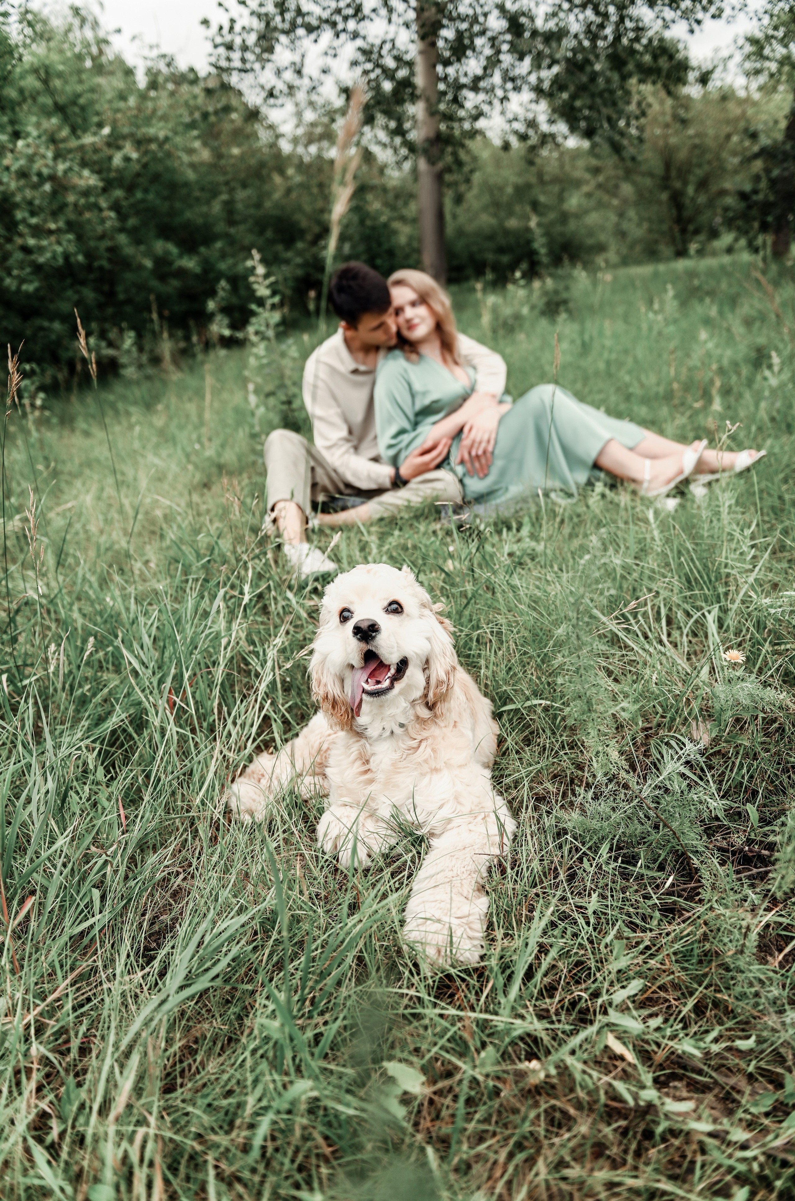 Love story прогулка вместе с песиком))). Свадебный, семейный, детский, контент фотограф в Омске Максим Ильин