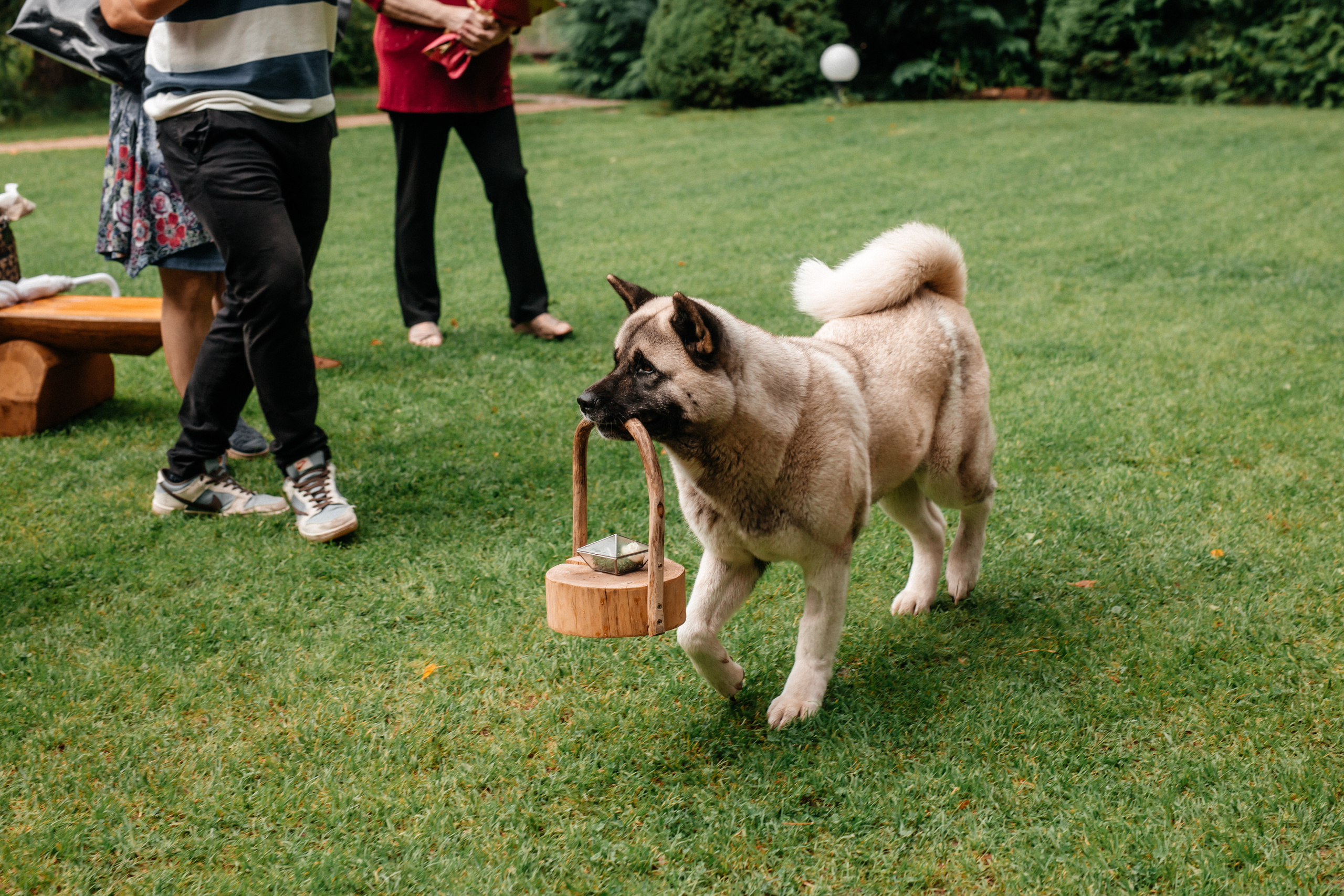 Вера+Сергей. Семейный фотограф в Минске Саша Павлюк