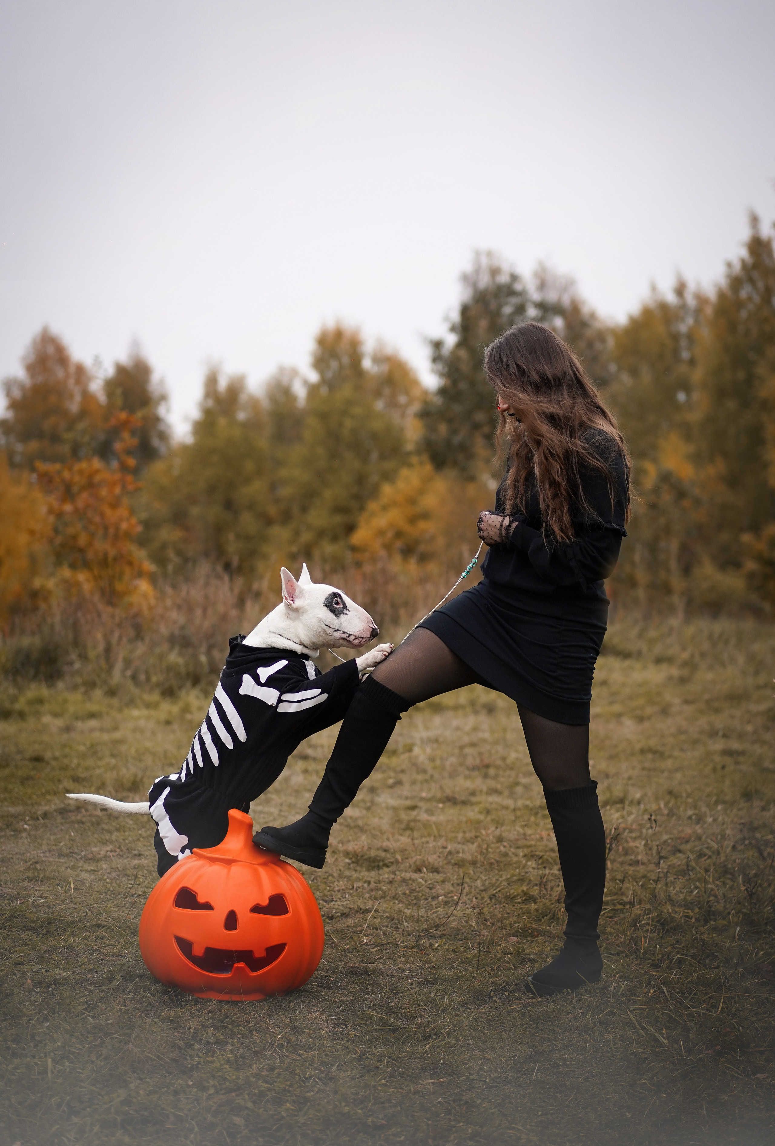 Настя Рома и Сахар Хелоуин. Фотограф-анималист в Санкт-Петербурге Яна Мартынова