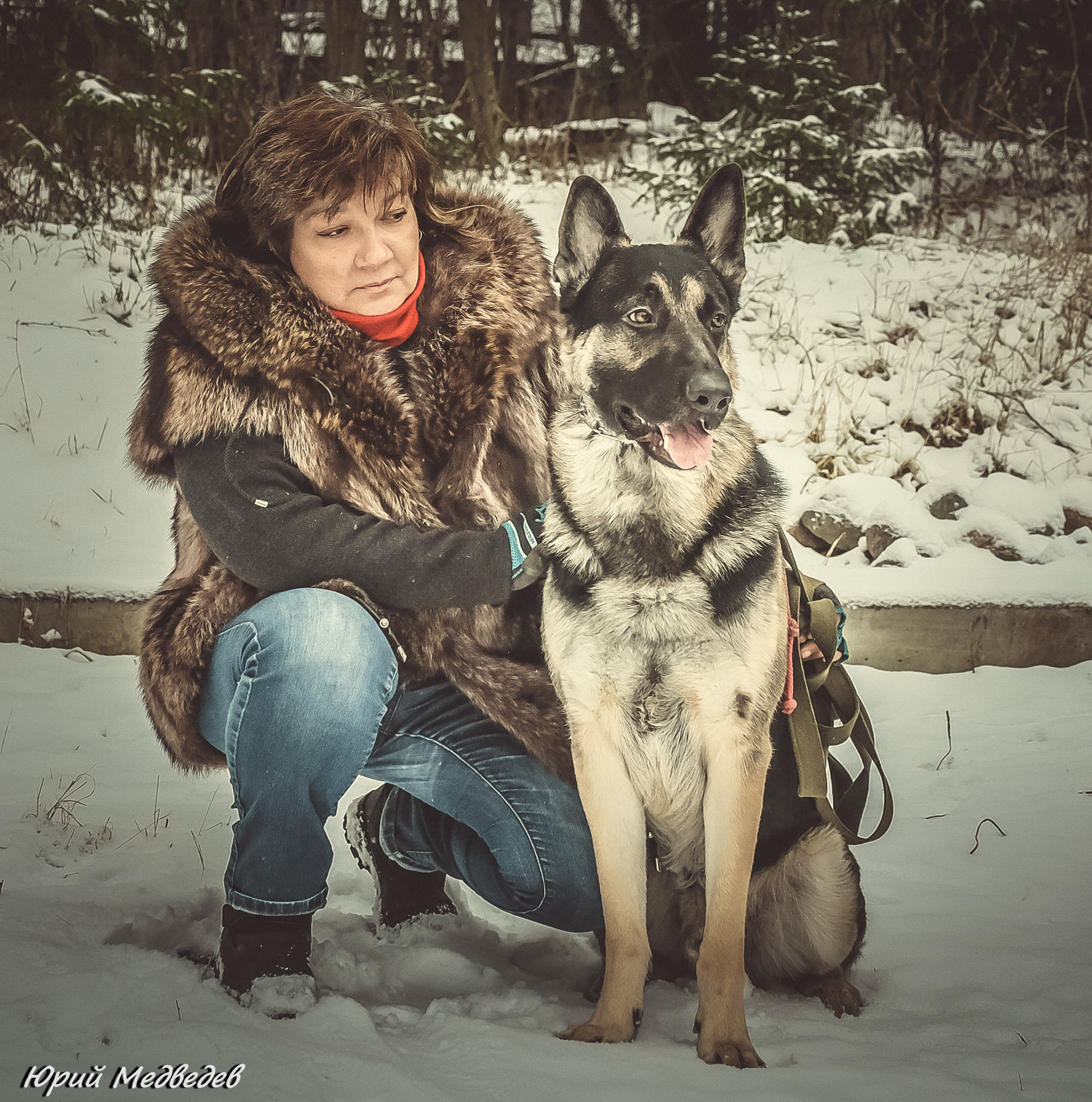 Ваши любимые питомцы. Портретный фотограф в Приозерске Ленинградской области и Санкт-Петерб