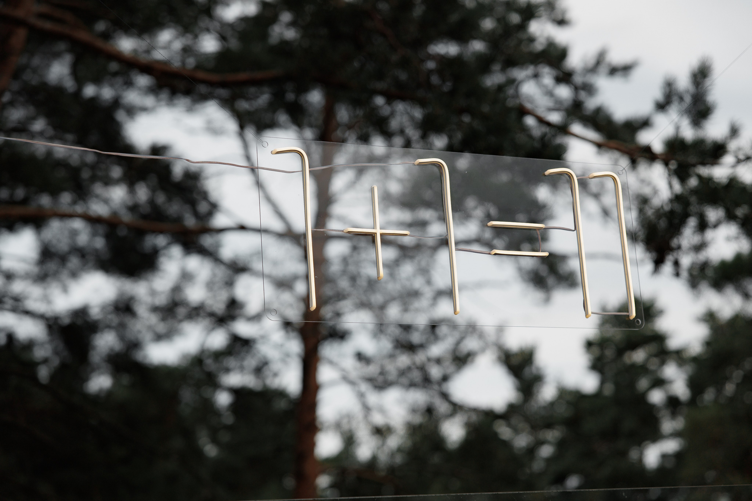 11/08/2023. Свадебный фотограф в Санкт-Петербурге Александр Пащенко