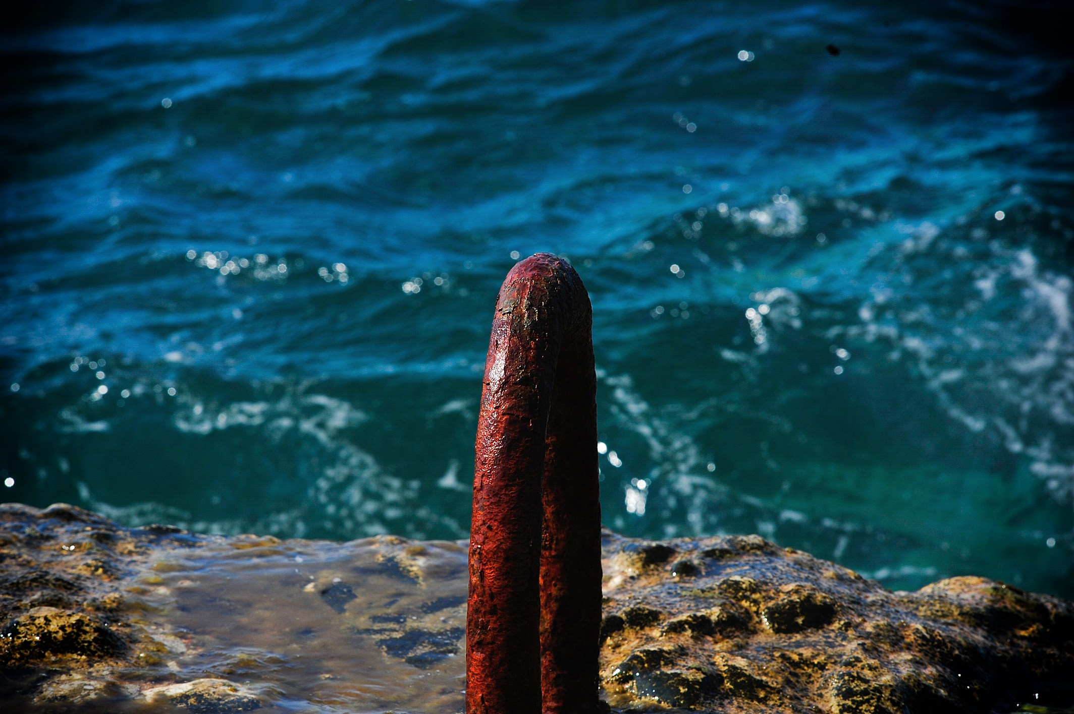 Vibe. Фотограф Милена Яновска