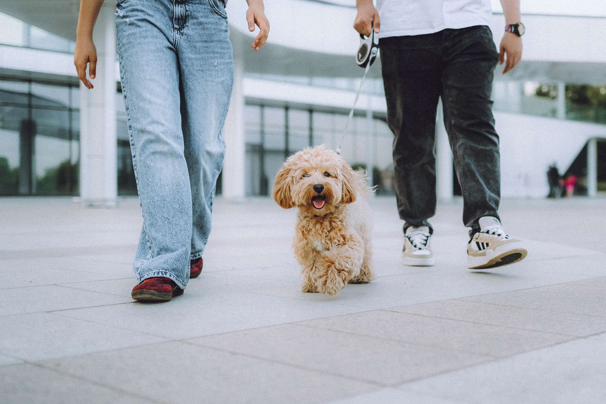 Фред и его семья