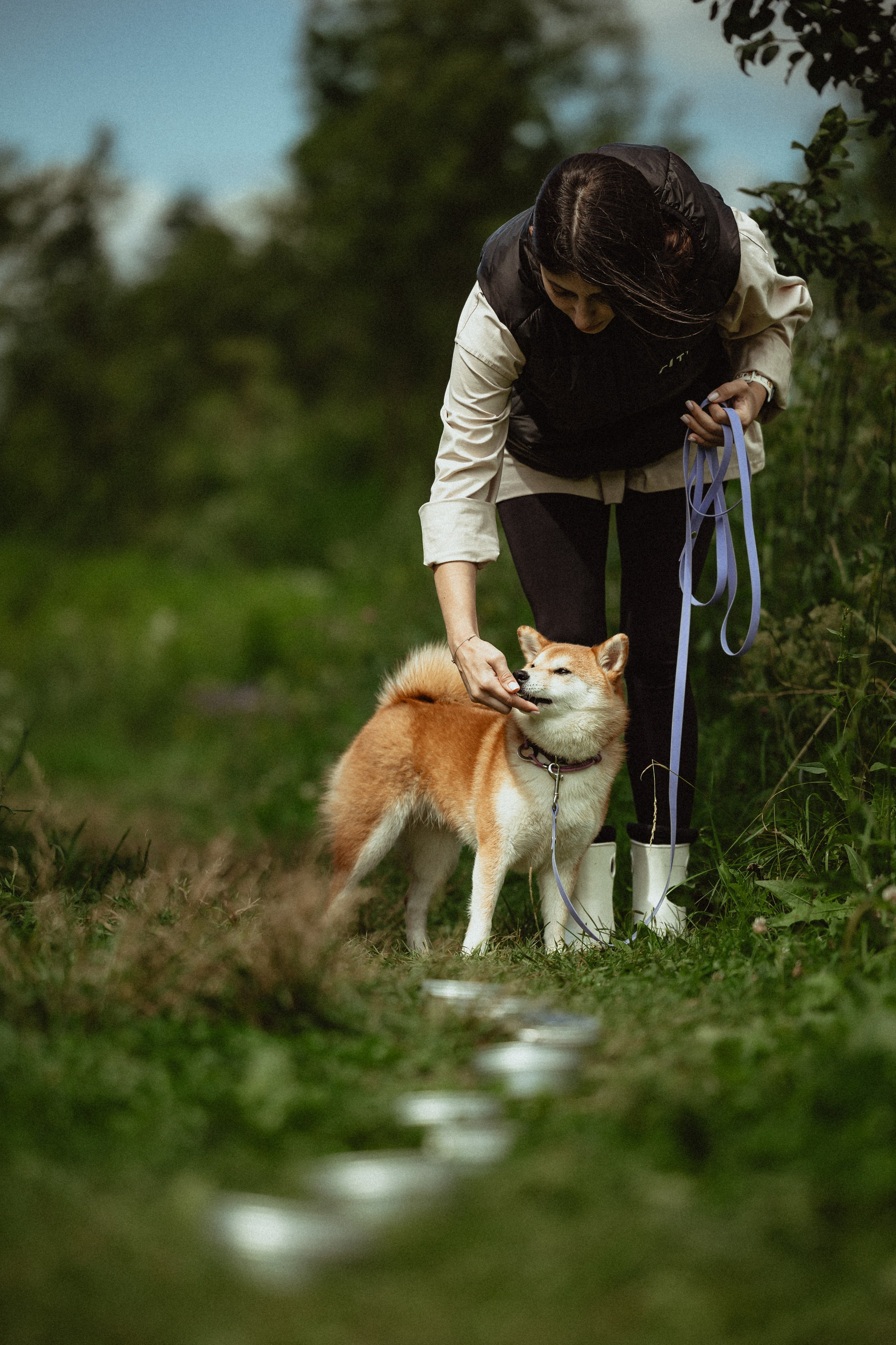 Выездной дог-тренинг от школы «Шерсть имею»