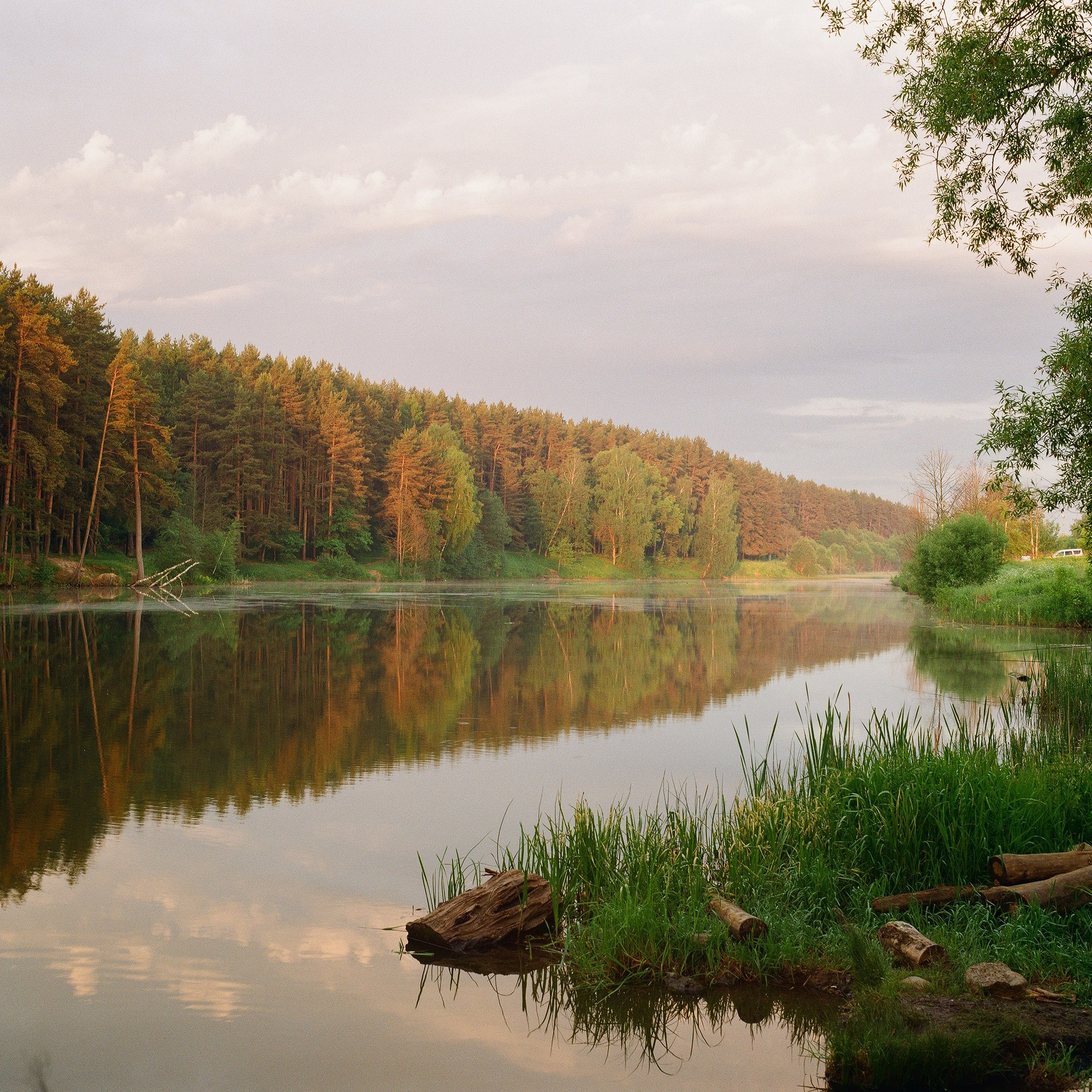 Пленка. Фотограф Мартыненко Дмитрий