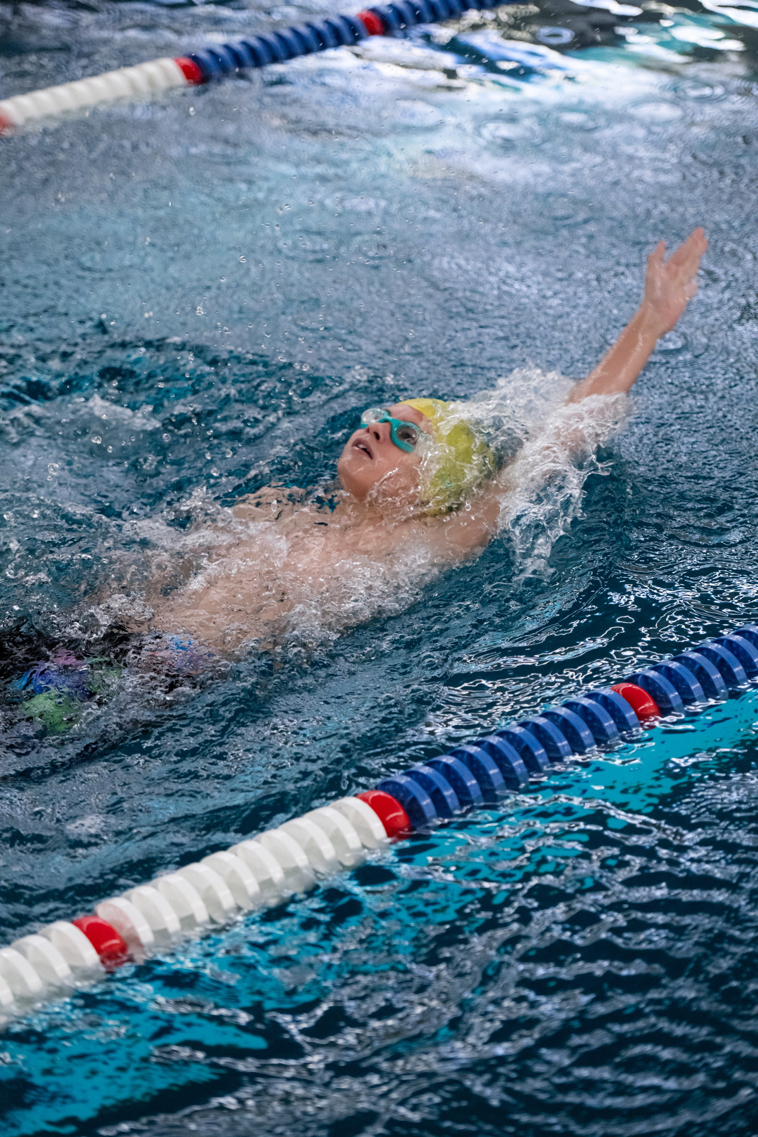 ЧЕМПИОНАТ ПО ПЛАВАНИЮ. ДИНА МИХНЕВА спортивный фотограф Москва