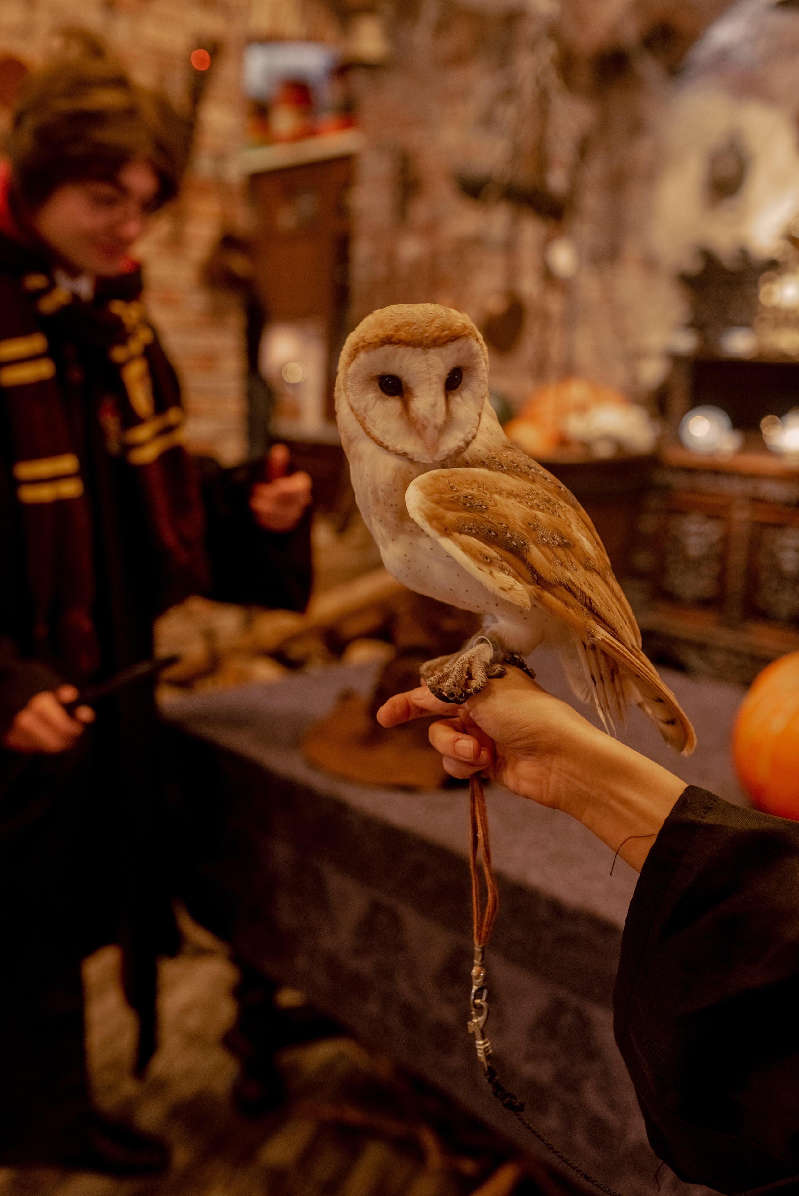 Вечеринка в стиле Гарри Поттер. Ульяна Сёмина, фотограф, Москва