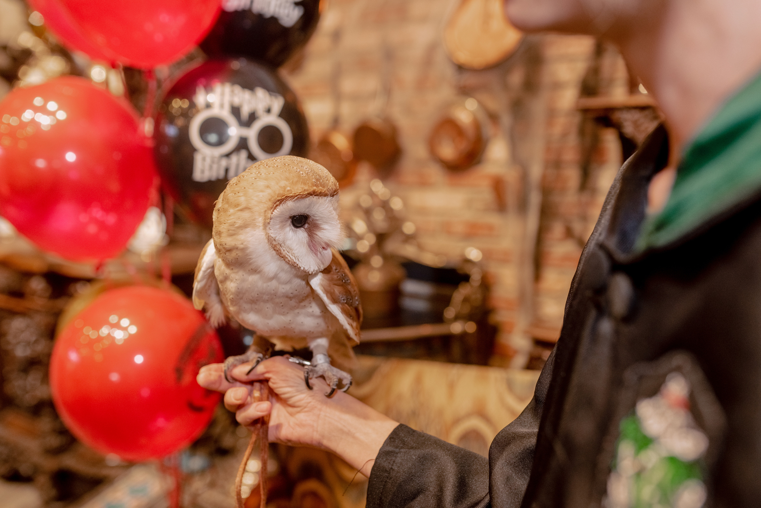 Вечеринка в стиле Гарри Поттер. Ульяна Сёмина, фотограф, Москва