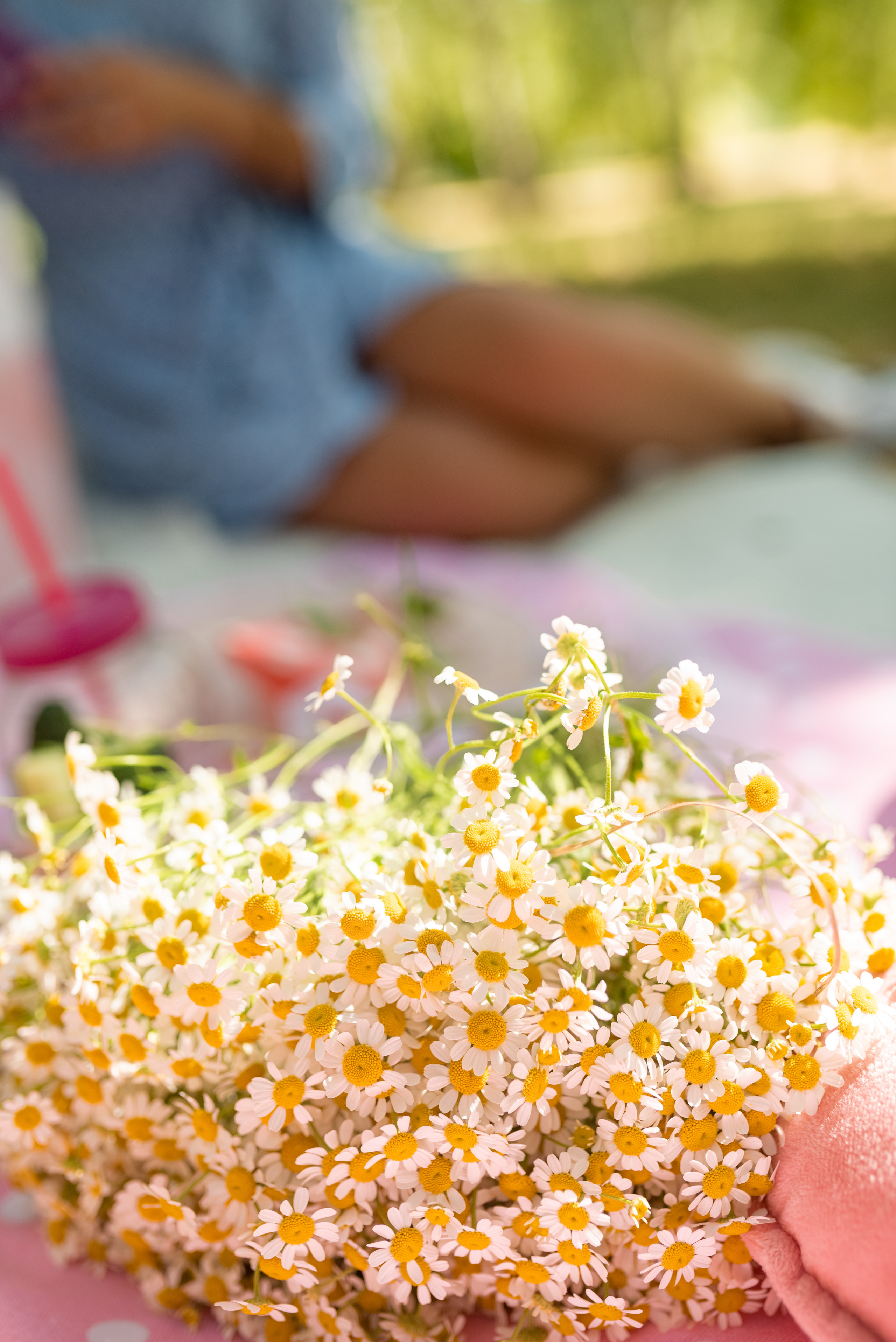 День Рождения Алисы. Ульяна Сёмина, фотограф, Москва