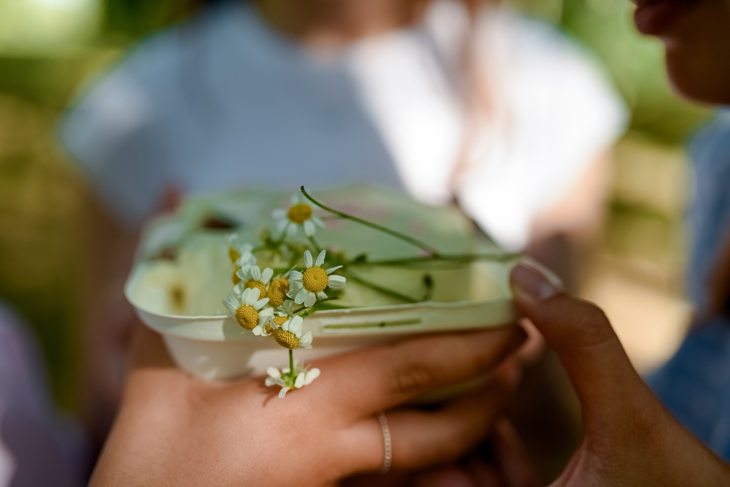 День Рождения Алисы. Ульяна Сёмина, фотограф, Москва