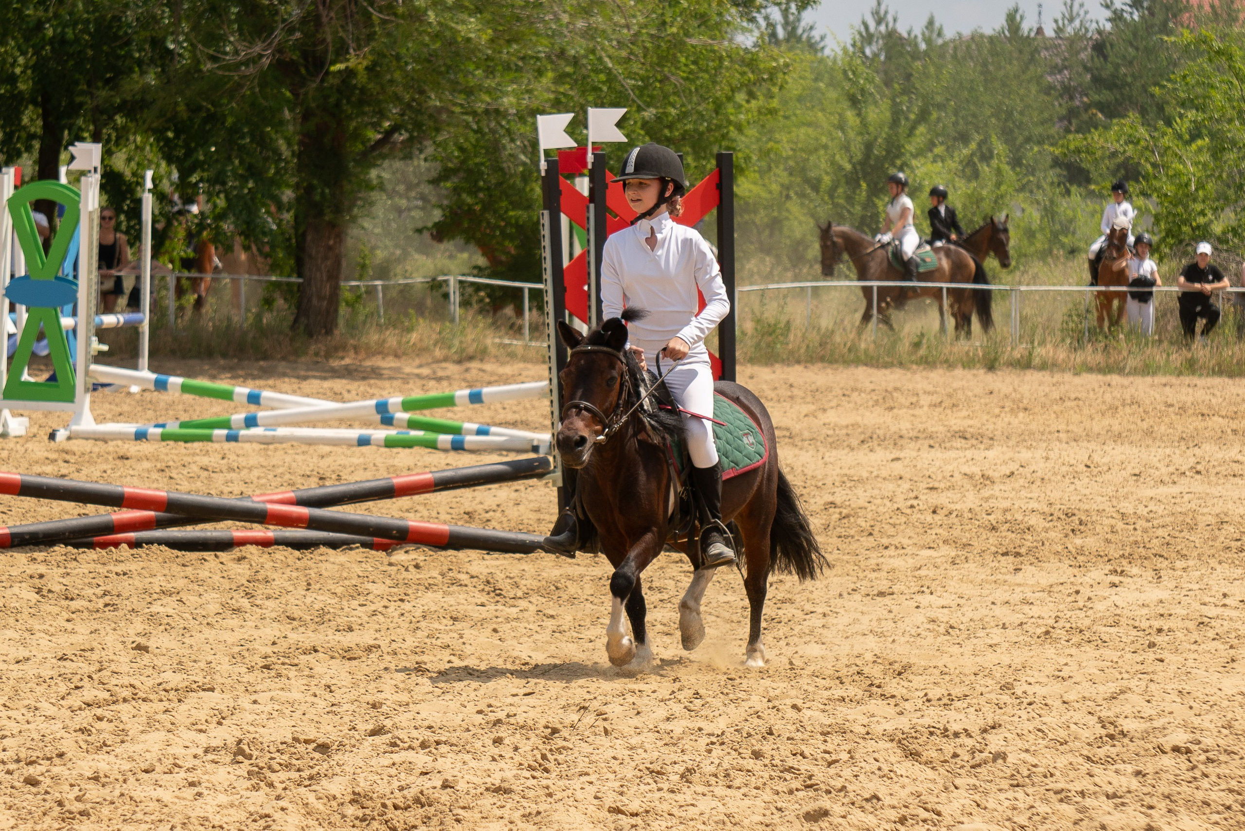 Соревнования по конкуру, Луганск. Фотограф в РФ и ЛНР Юлия Федосеева
