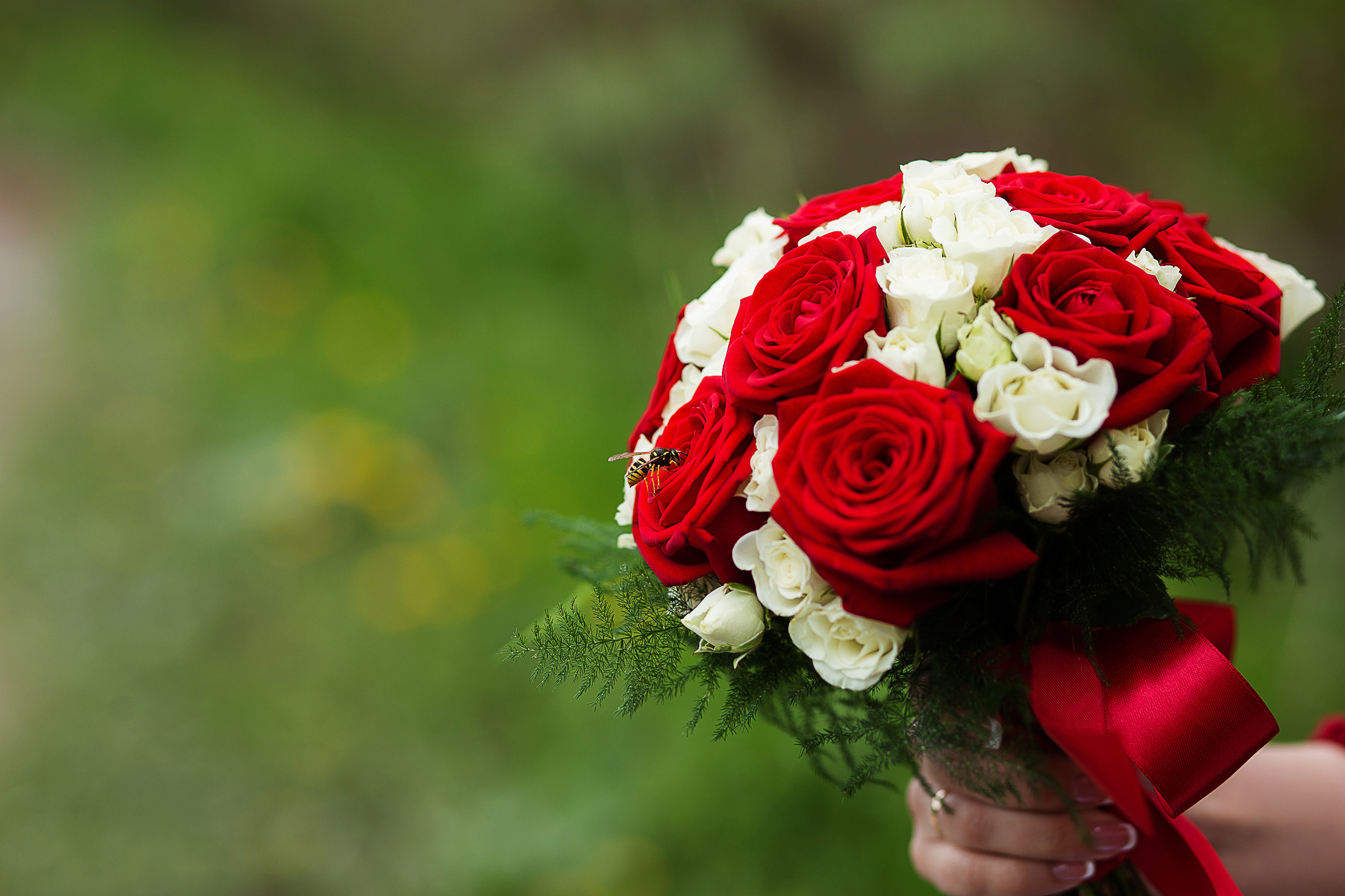 Фото свадьбы молодоженов. Фотосъемка и видеосъемка в Калининграде Liveemotion.pro