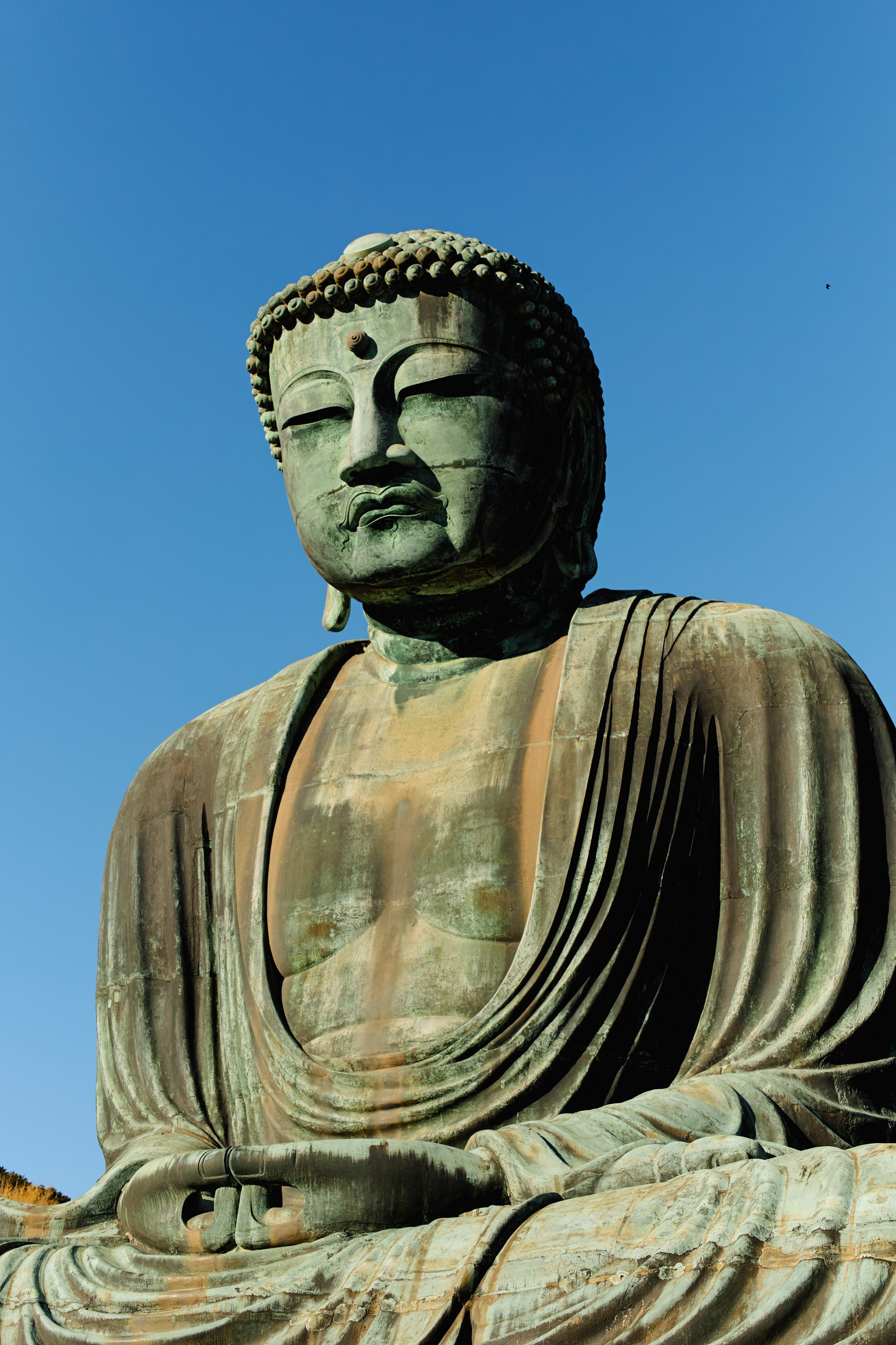 Япония. Профессиональный Фотограф во Владимире, в Москве и в Суздале — Полина Романычева