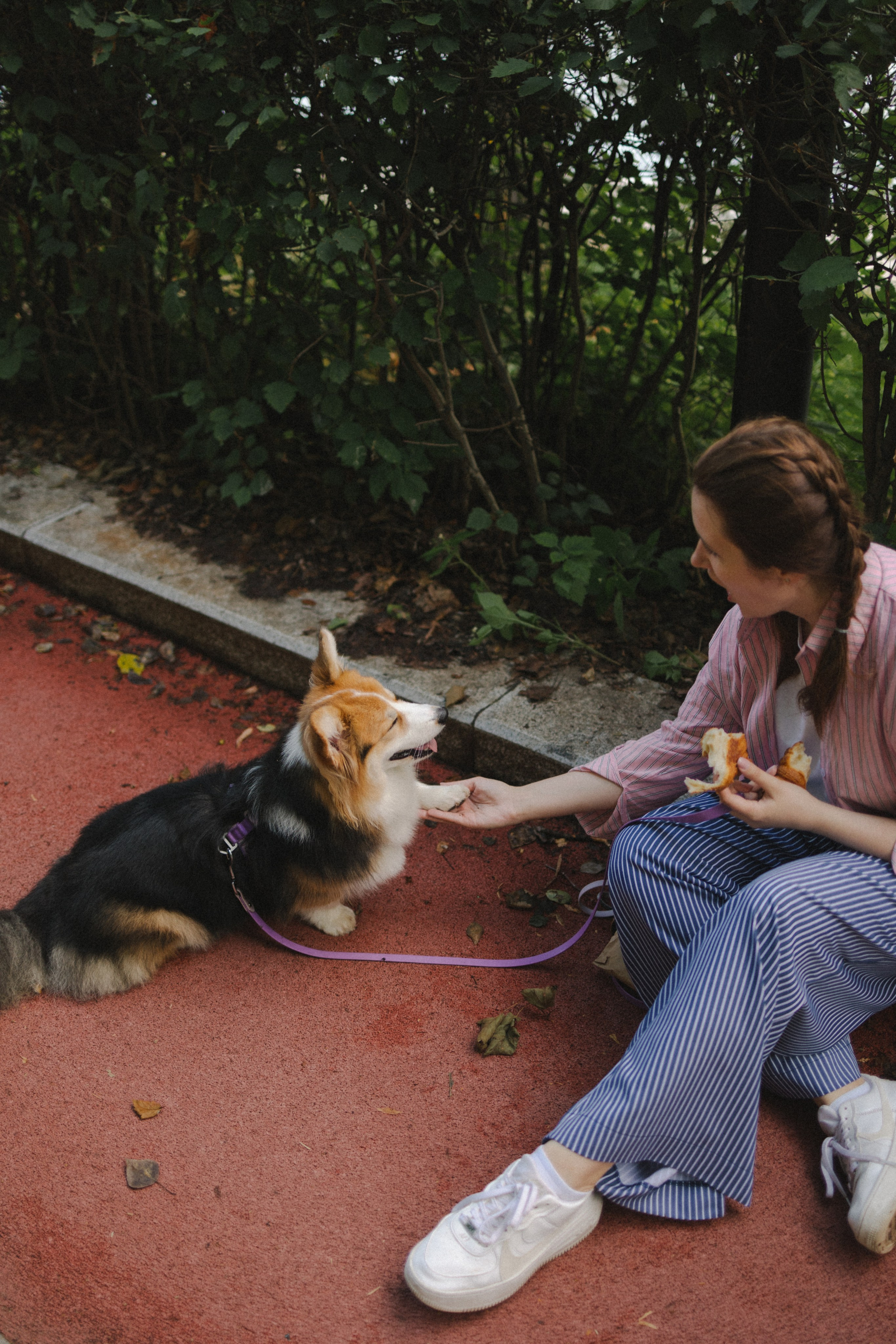 Мишель и Влада. Фотораф — анималист Мария Шистка