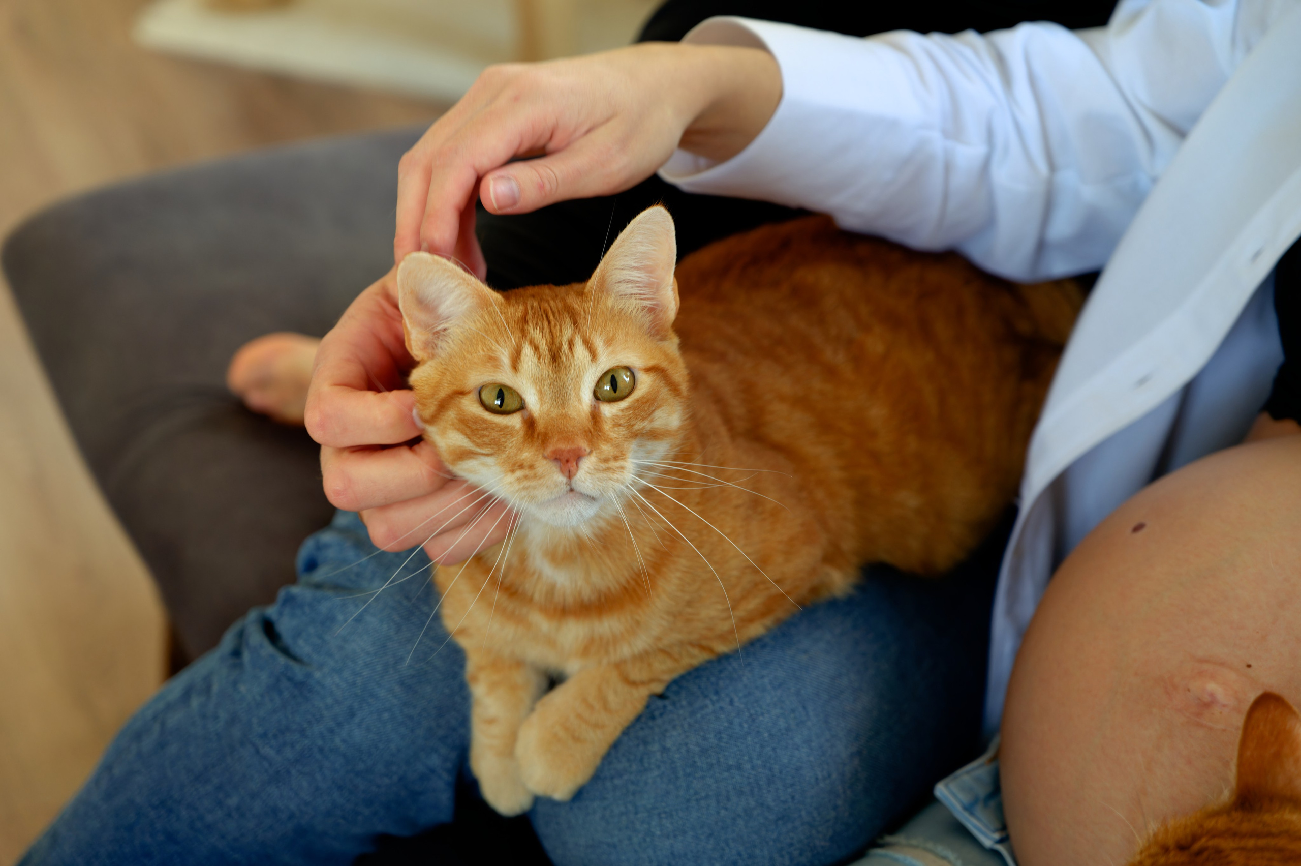 A&A prenegate. Photo & Video production, in Bishkek, Kyrgyzstan