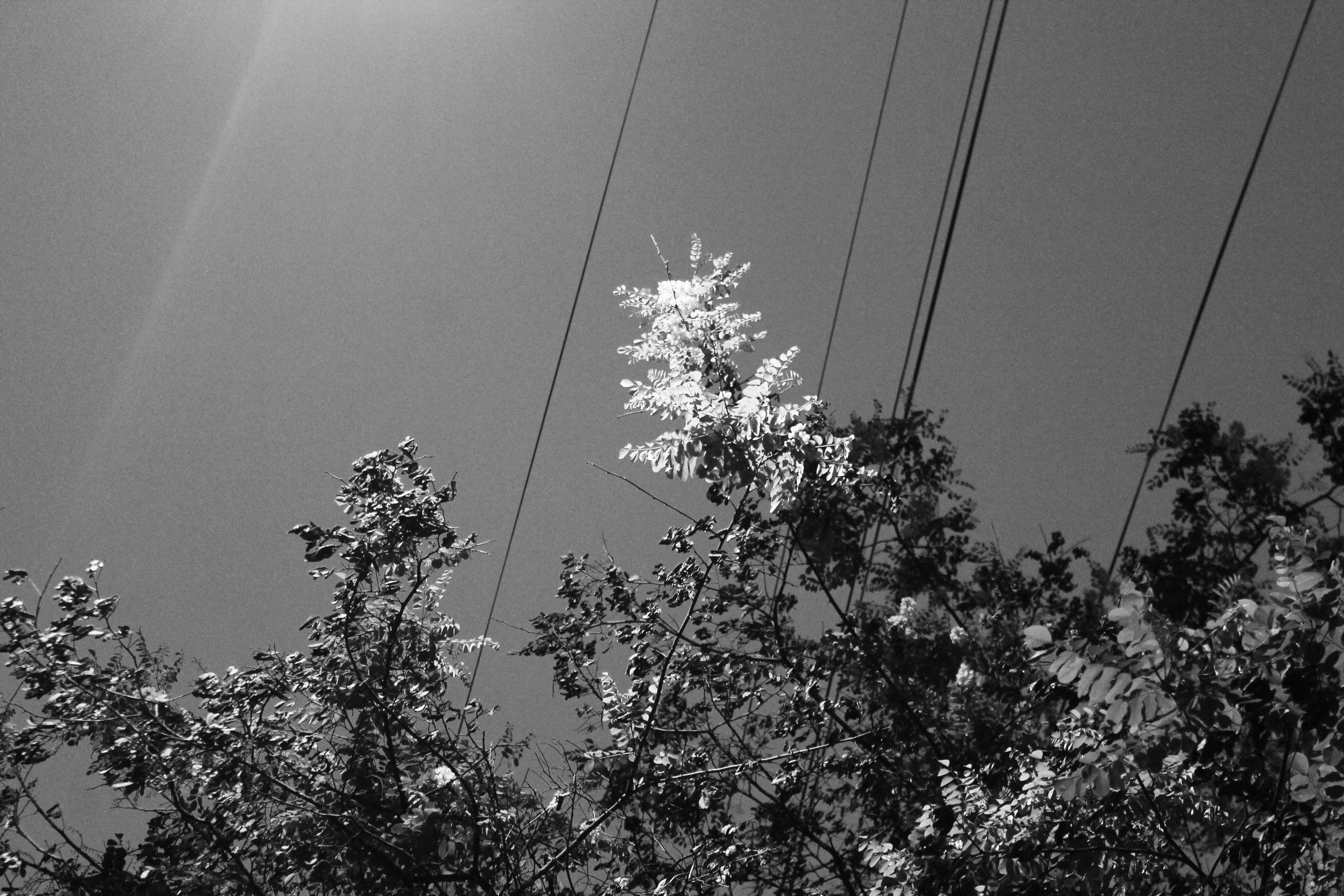 Мои первые работы. Фотограф из Москвы — DASHA NOVA | Авторская фотография в разных жанрах