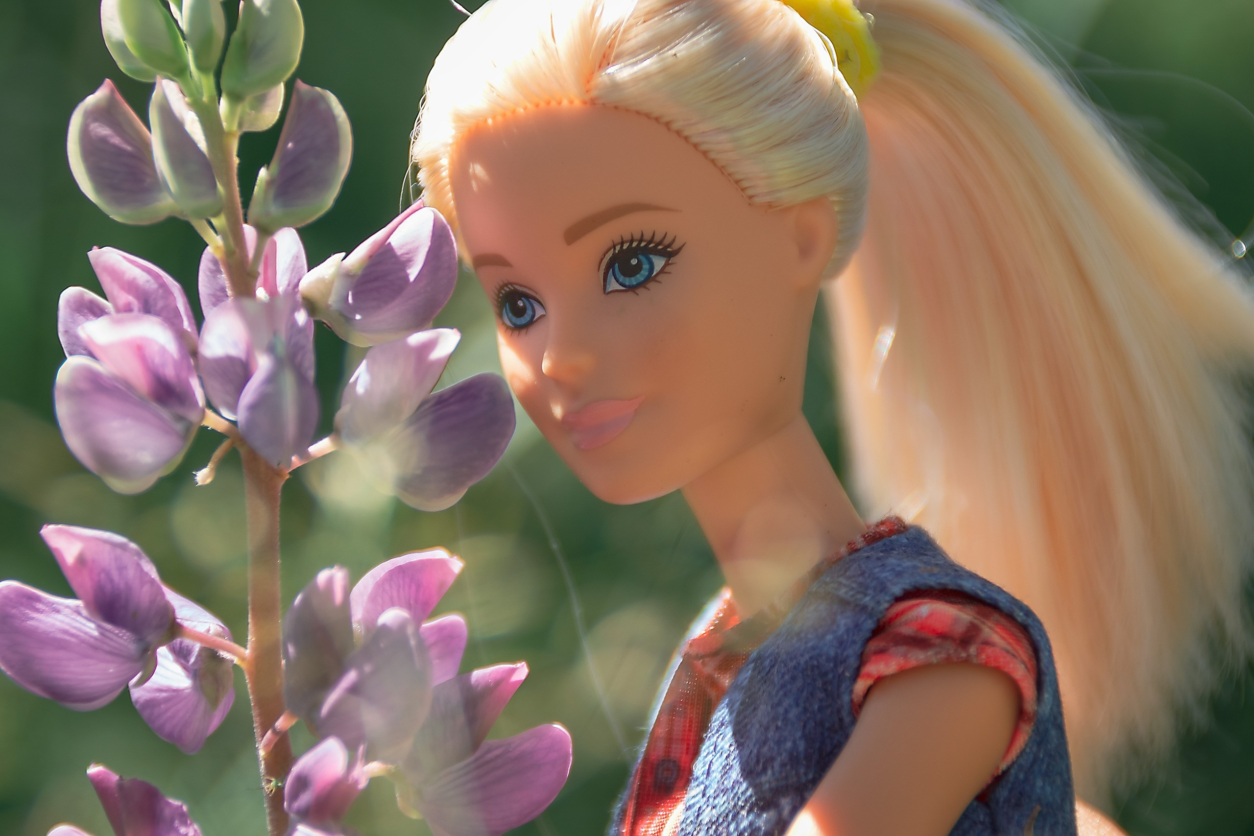 Сказка — Быль. Аmat Victoria Сuram