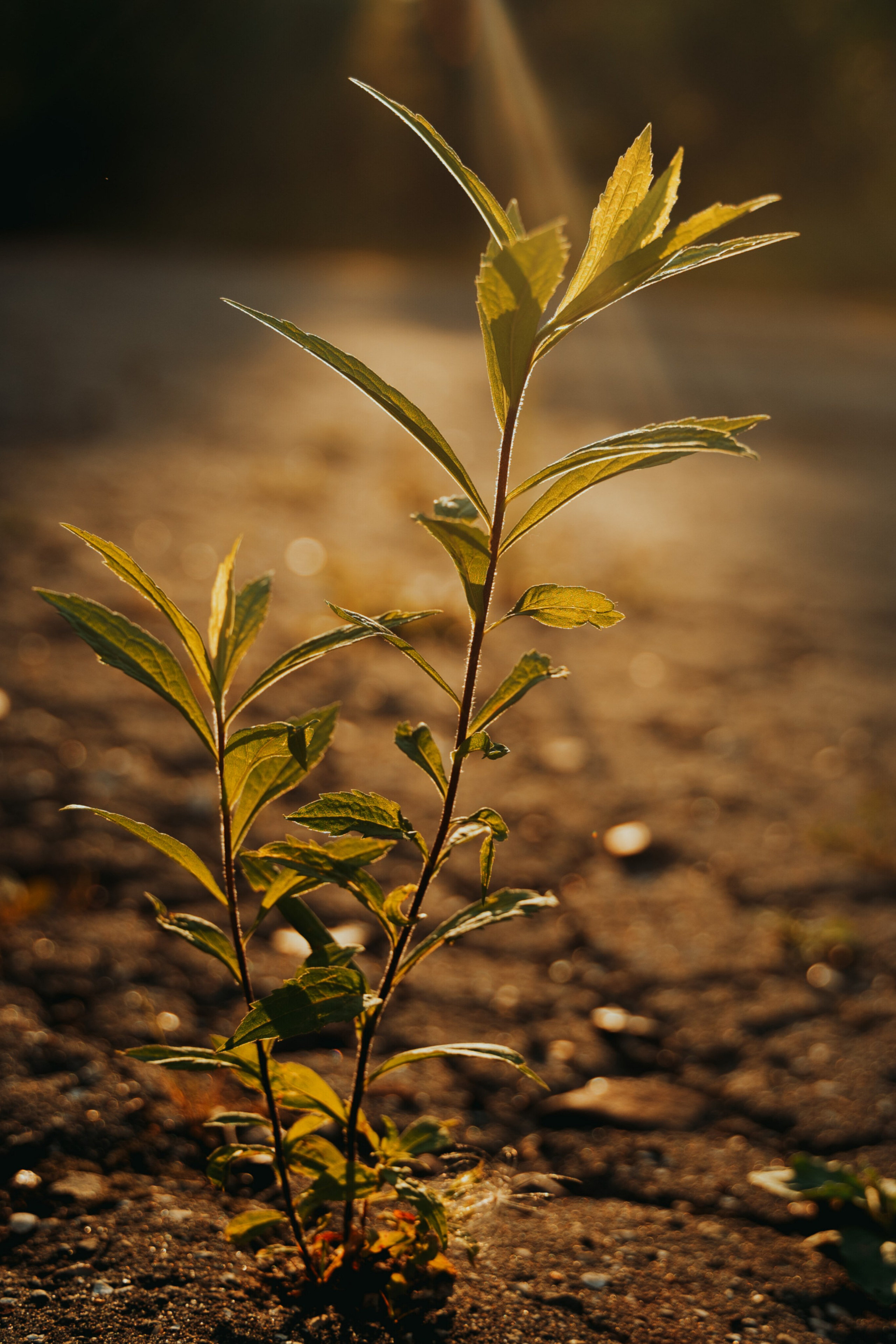 Светлана. Фотограф в Нижнем Новгороде Алексей Уковский