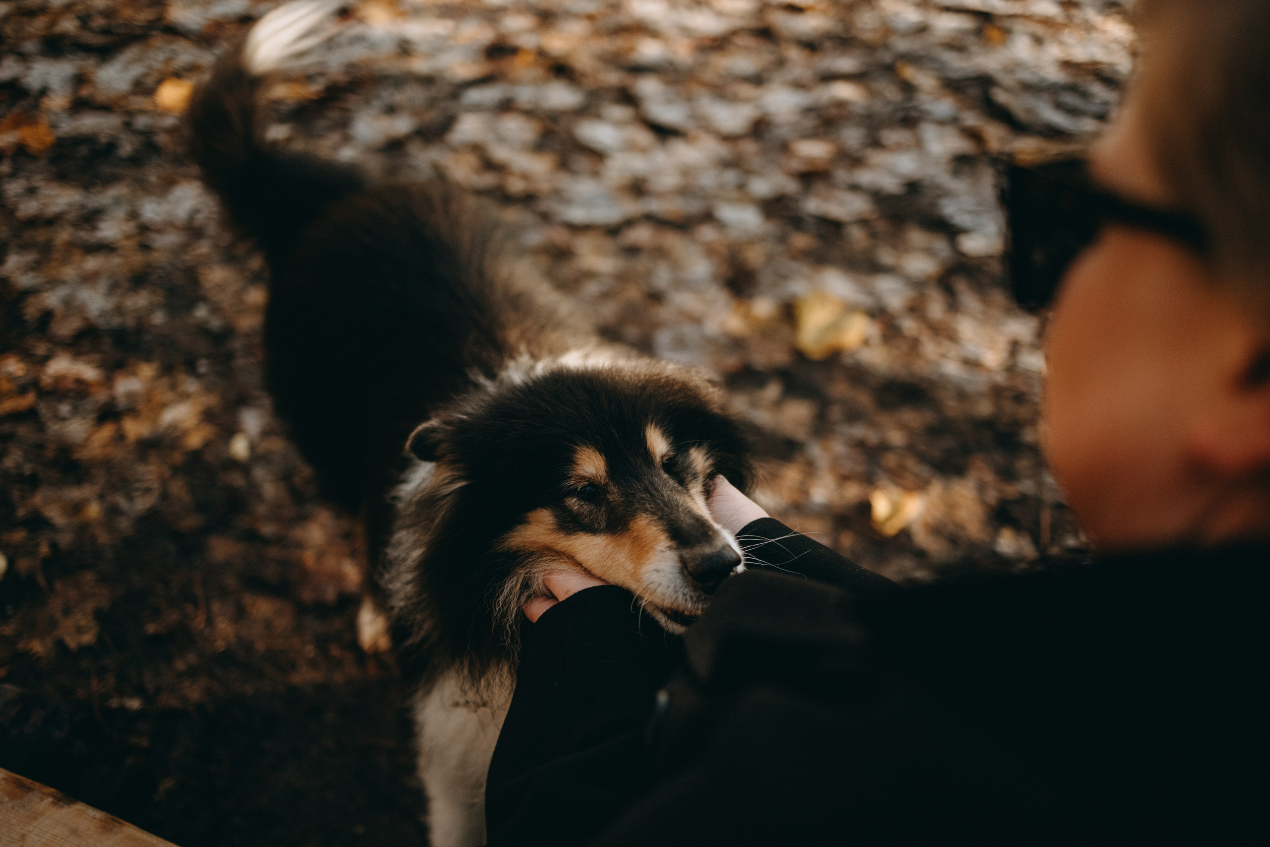 Ия и Барт. Фотограф — Анималист | Санкт-Петербург