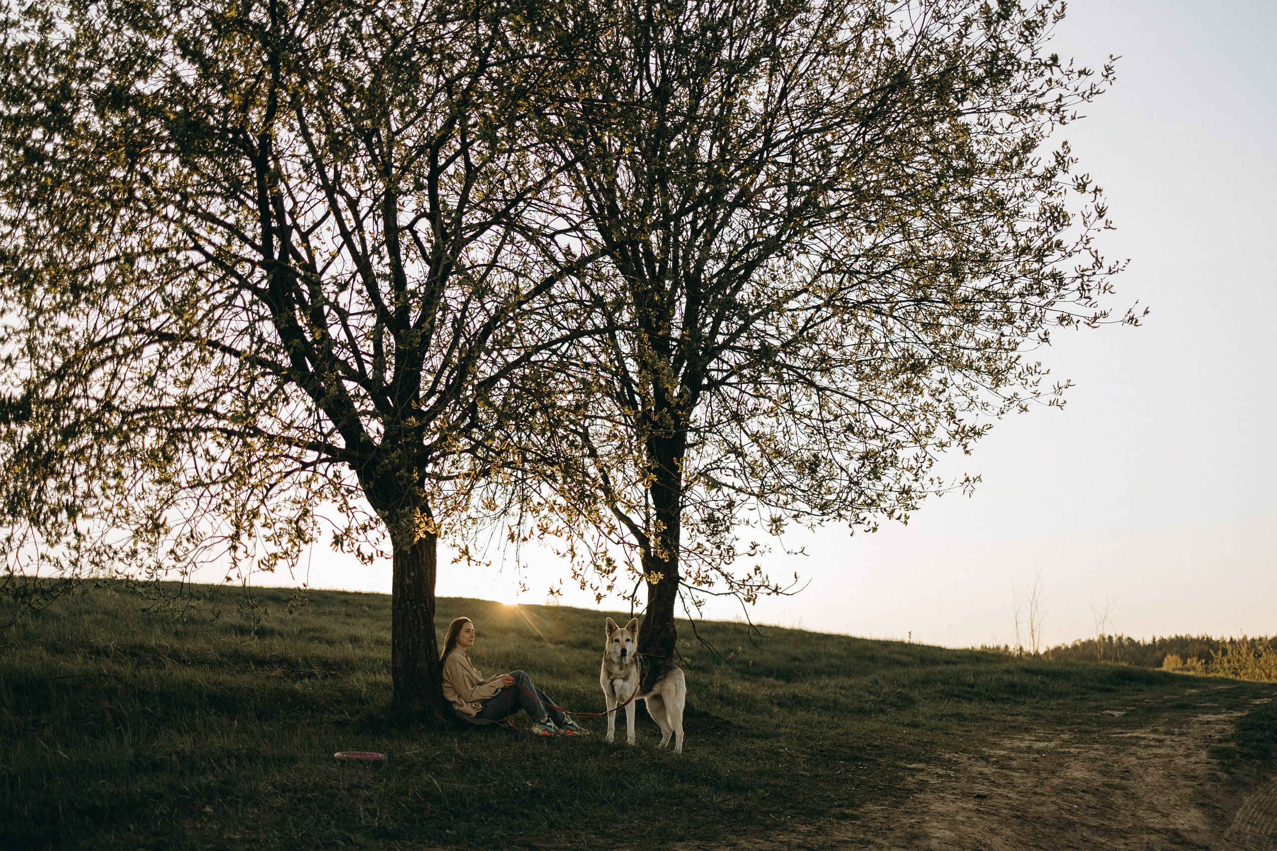 Саша и Зельда. Фотограф — Анималист | Санкт-Петербург