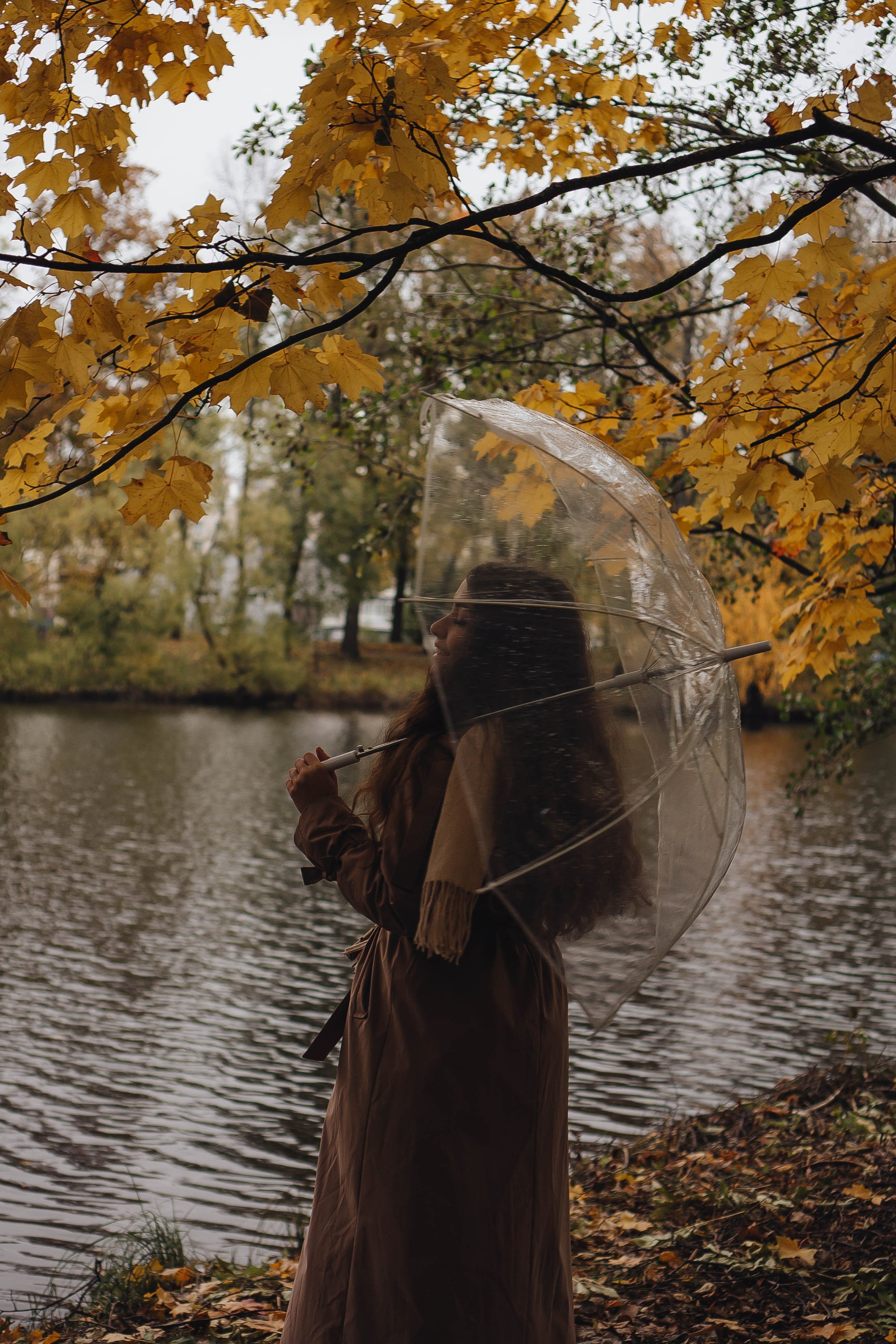 Осень. Профессиональный фотограф, Санкт-Петербург — Виктория Богомолова