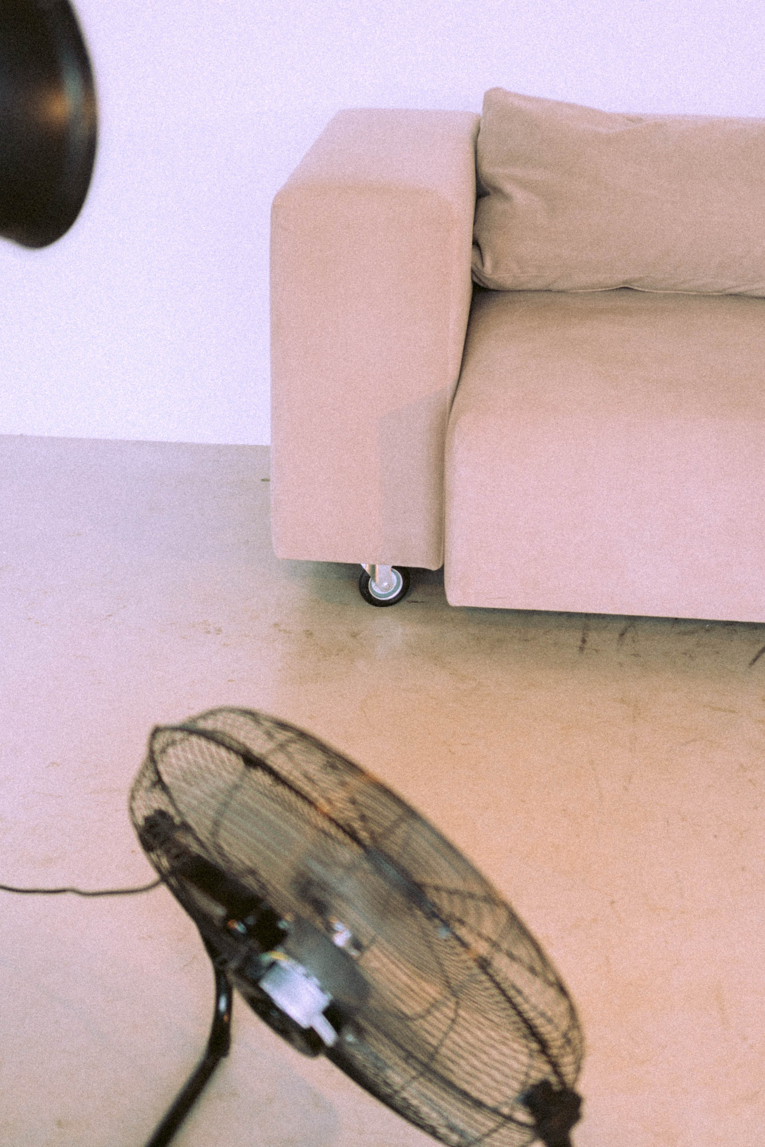 Подружки. Профессиональный фотограф, Санкт-Петербург — Виктория Богомолова