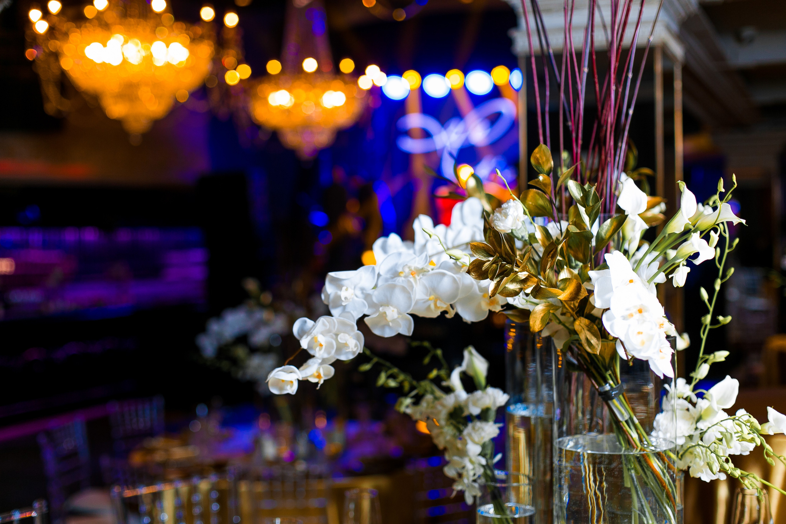 Юбилей Михаила. Репортажный фотограф Борис Геер