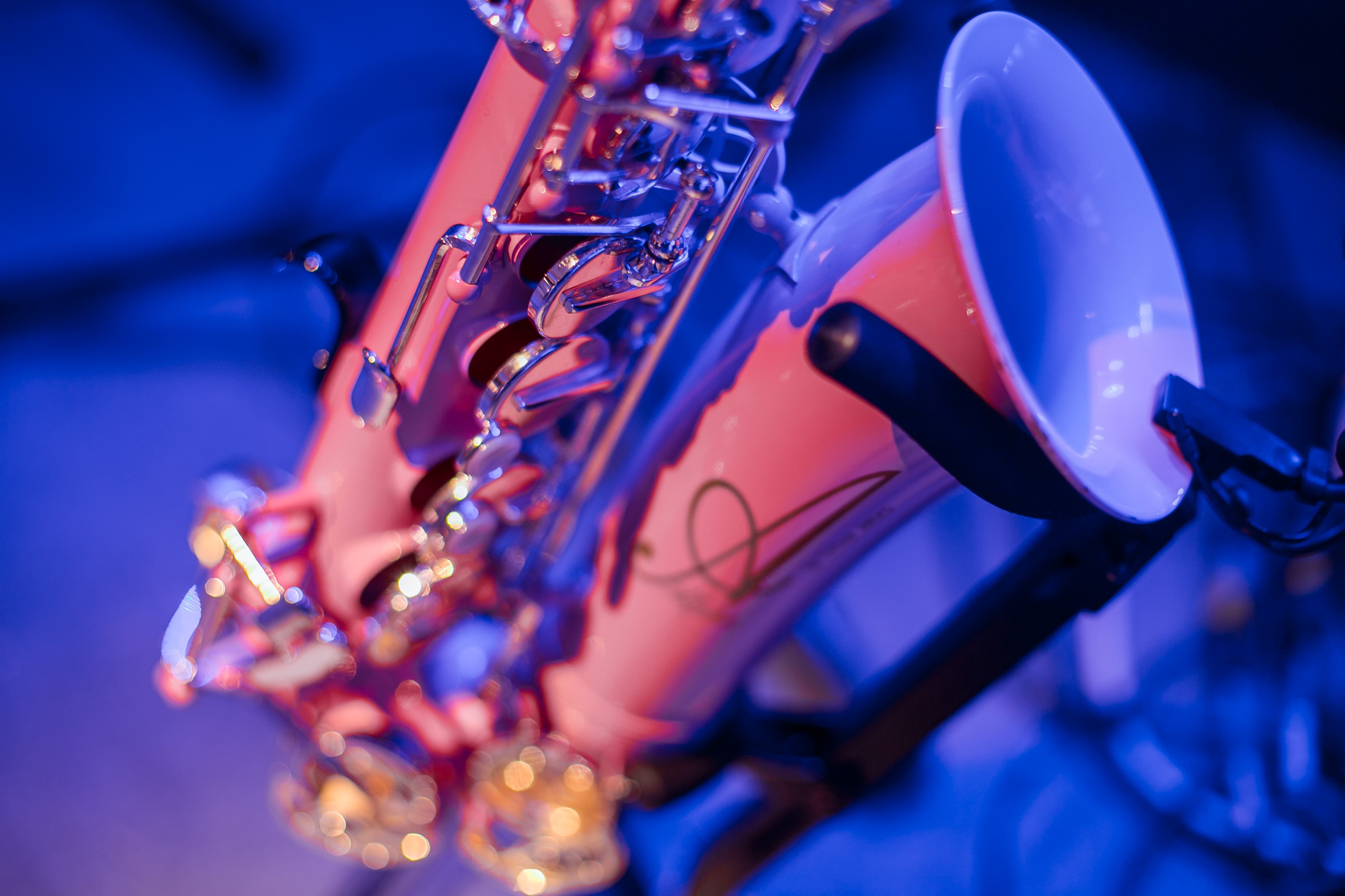 Фотосъемка новогоднего корпоратива компании CD. Репортажный фотограф Борис Геер