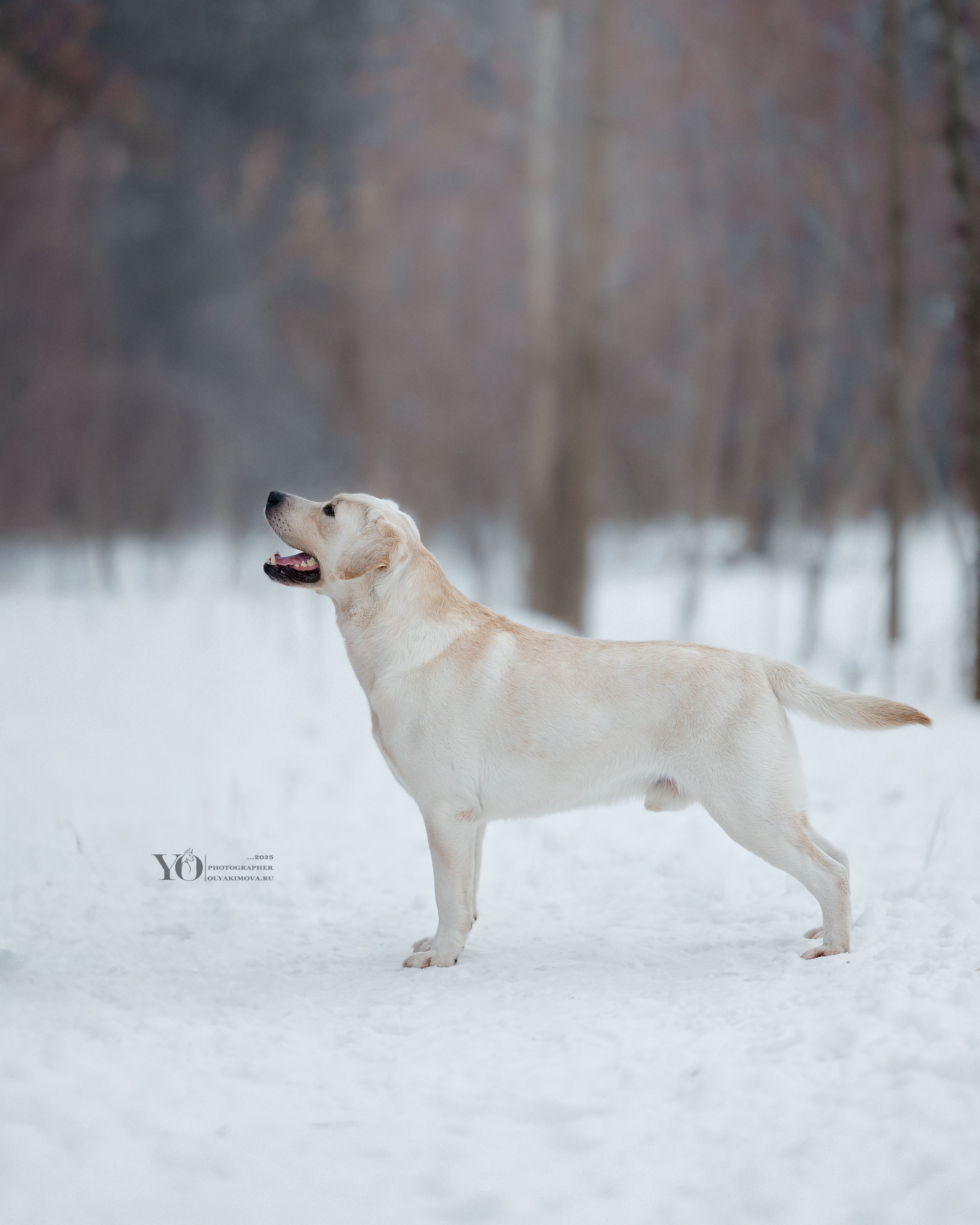 Экстерьер. Фотограф