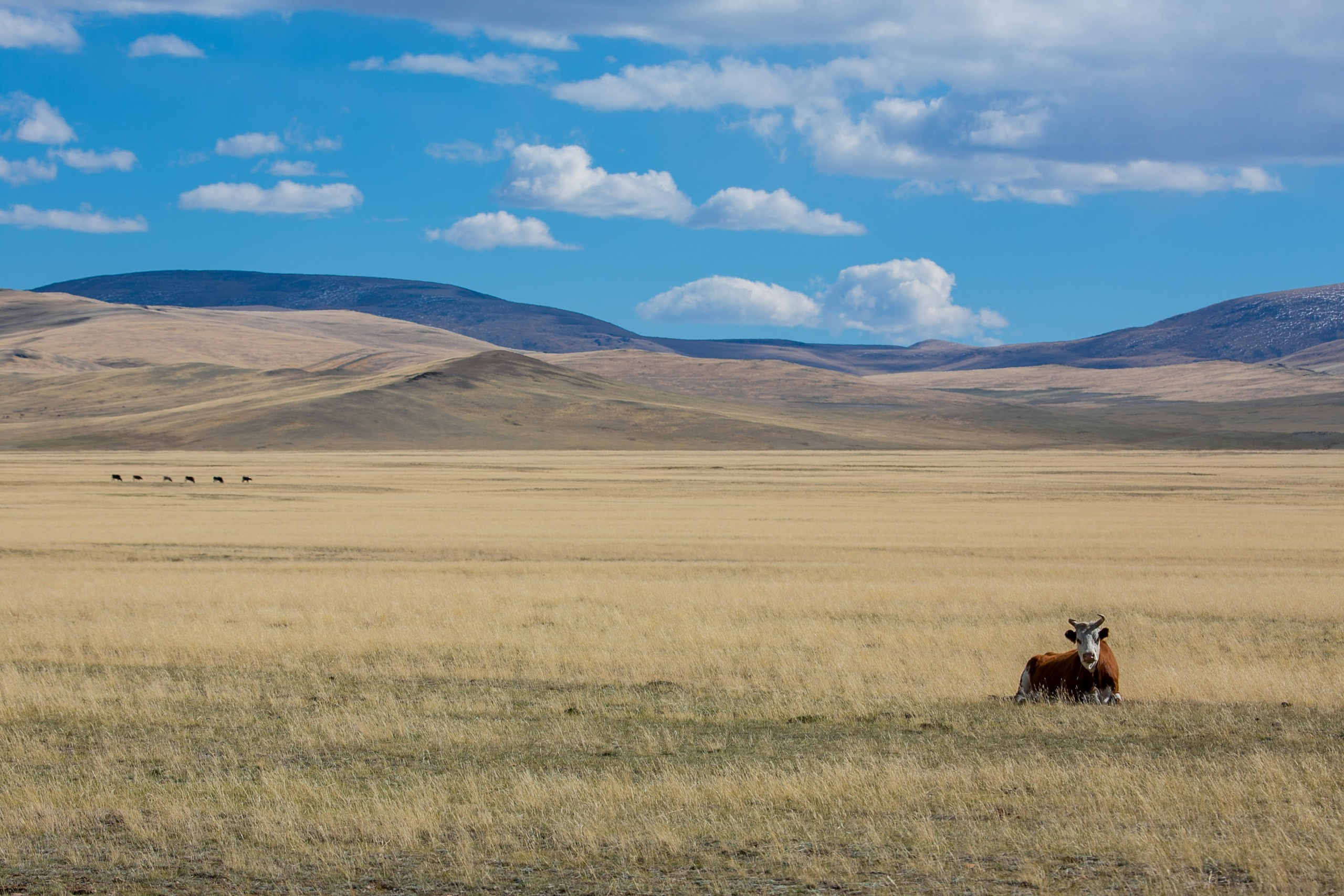 Репортажный фотограф в Москве Зуйко Оксана
