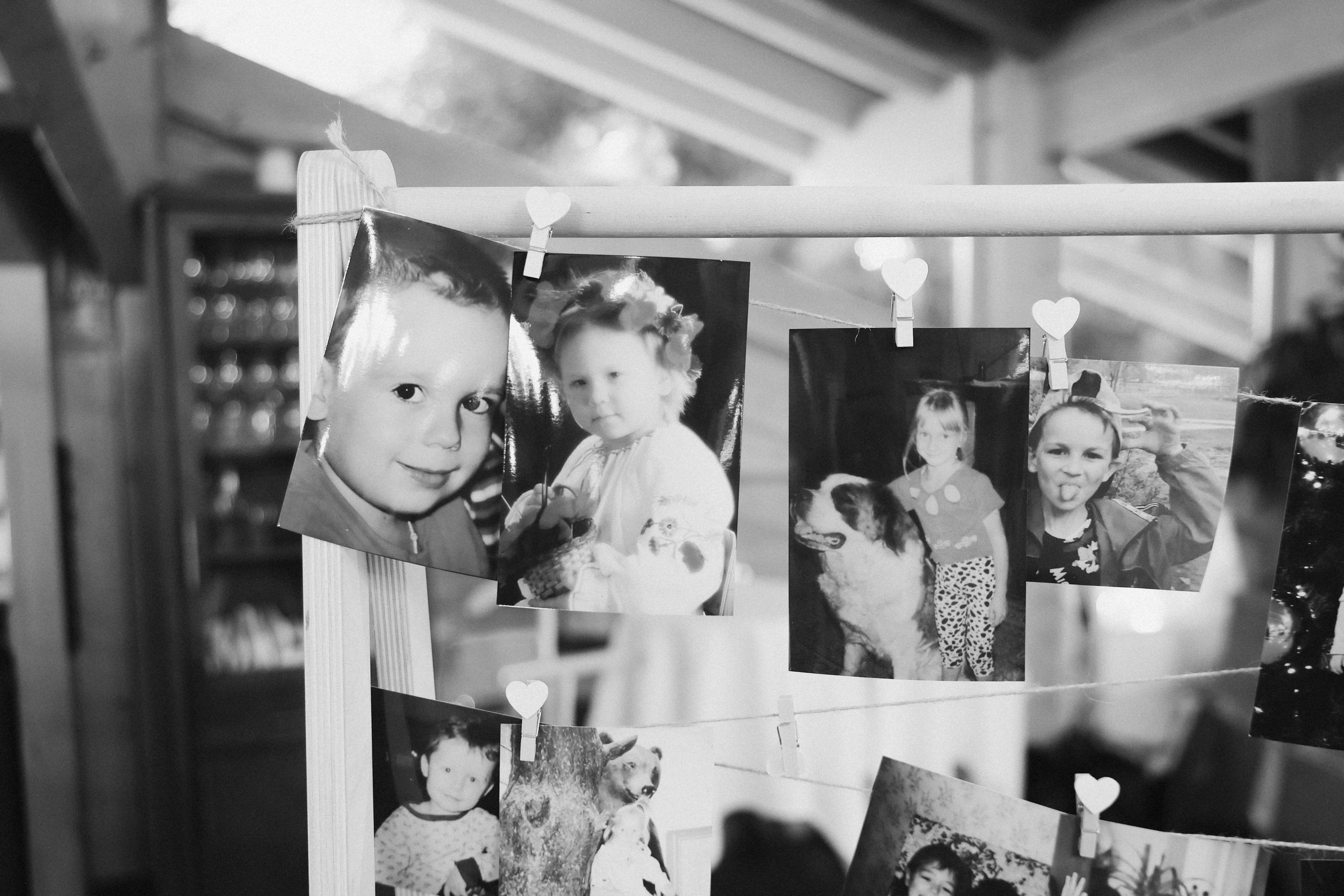 Серафимыч в пути. Фотограф НатаФото (Наталья Яковенко) Дмитров Москва Питер