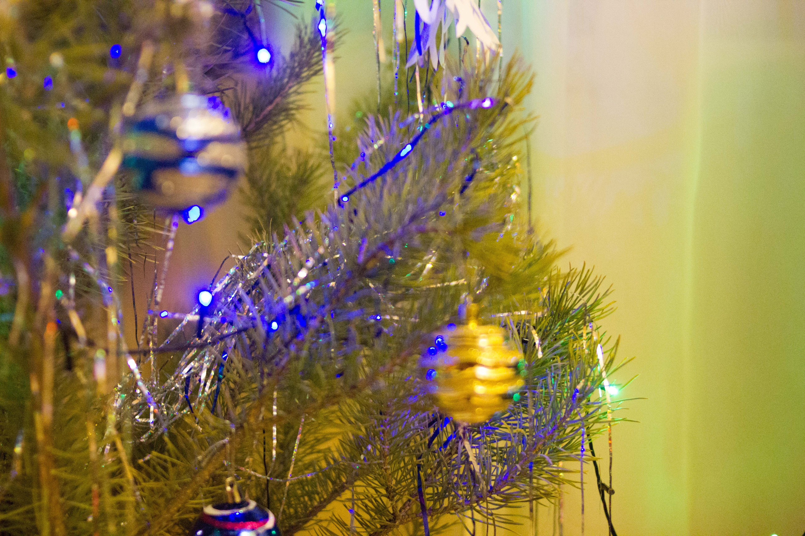 Новый Год. Фотограф в Иркутске