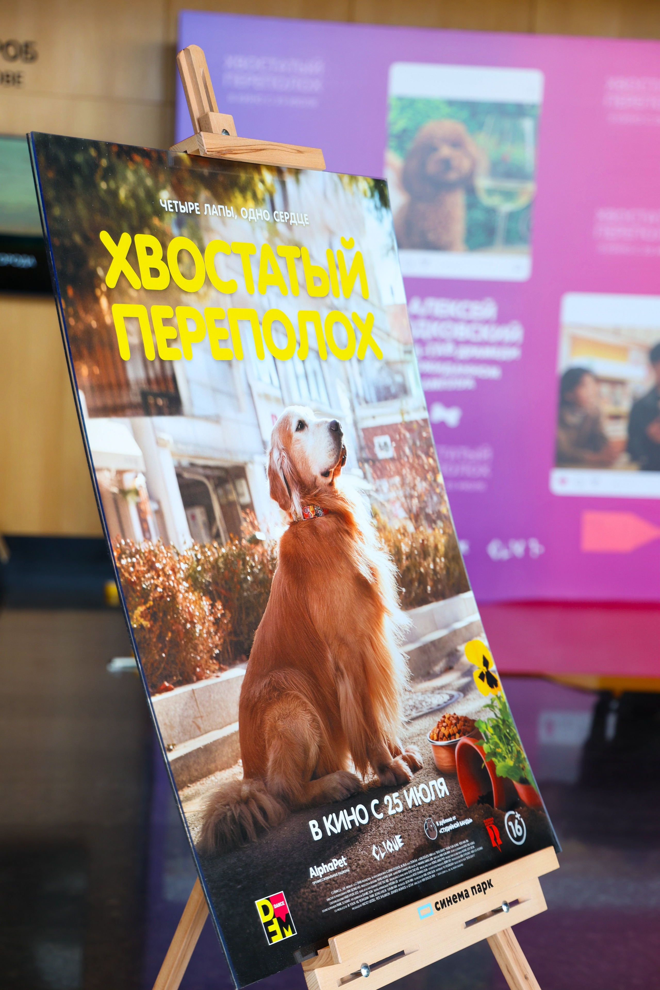 Премьера фильма «Хвостатый переполох». Свадебный и Event фотограф в Москве Бажина Ирина