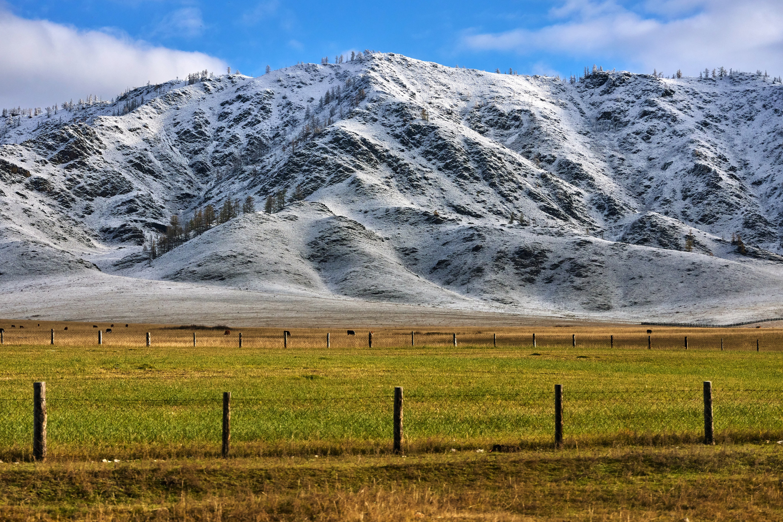 Пейзажный фотограф в Горном Алтае: съёмки природы и гор. Фотограф Опыт Качество Скорость Горный Алтай Барнаул
