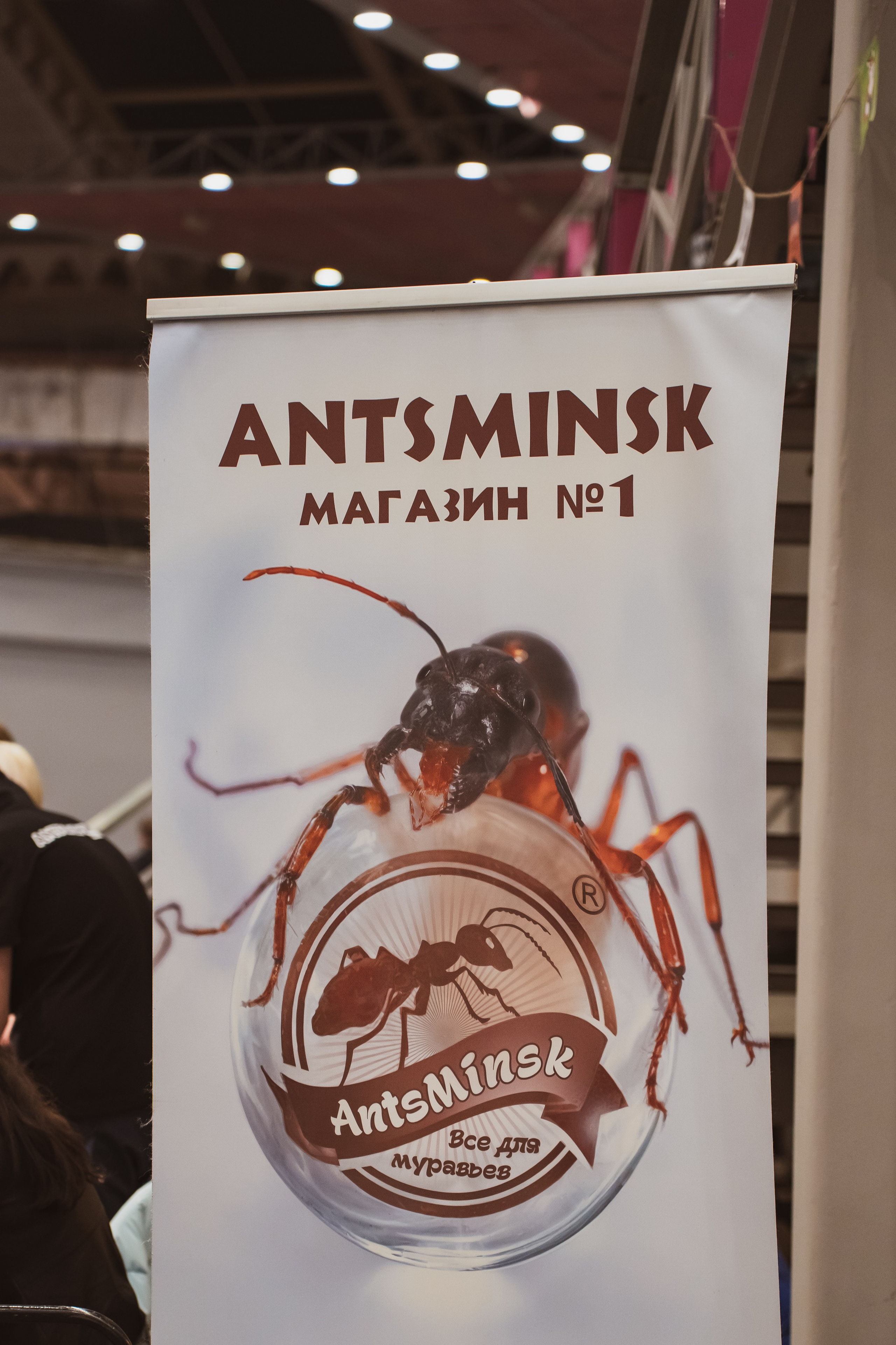 Fox Family fest. Репортажный фотограф Анастасия Рубцова