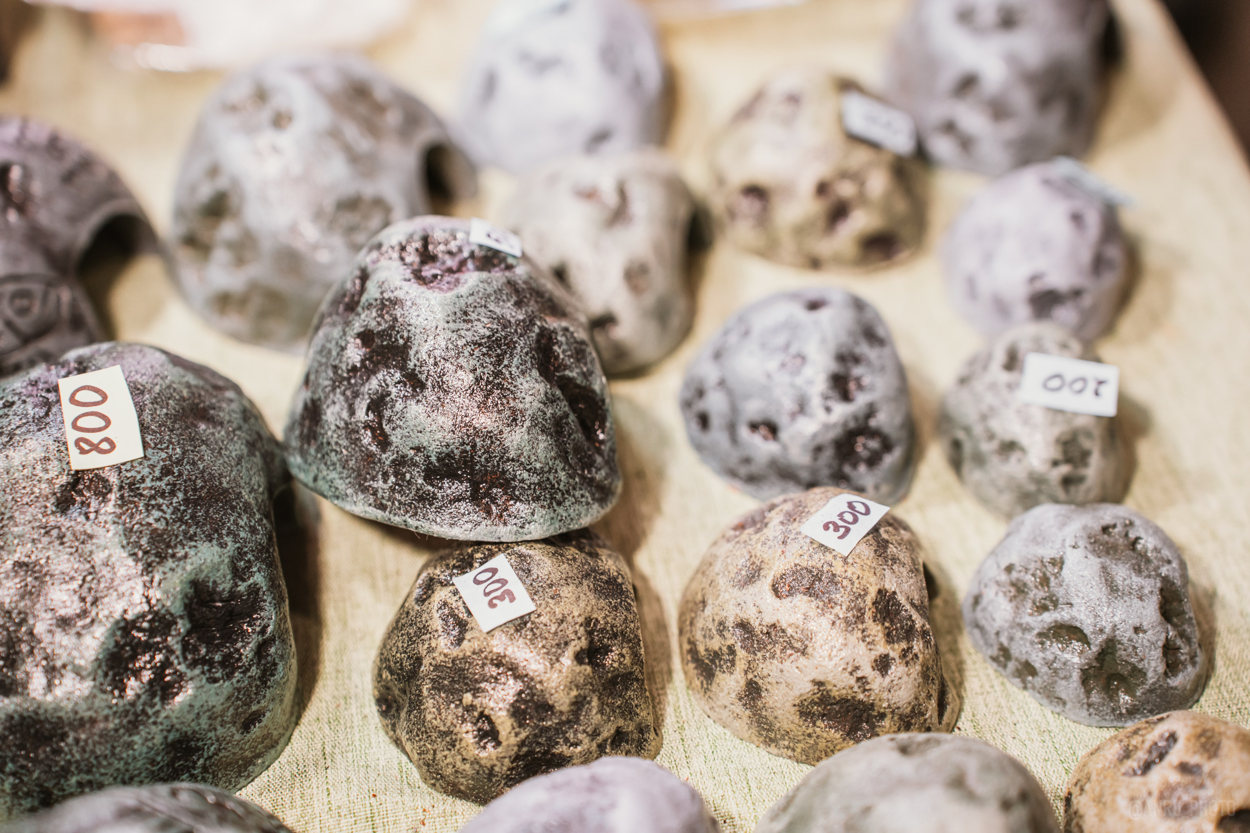 Рептилиум (ручная работа). Репортажный фотограф Анастасия Рубцова