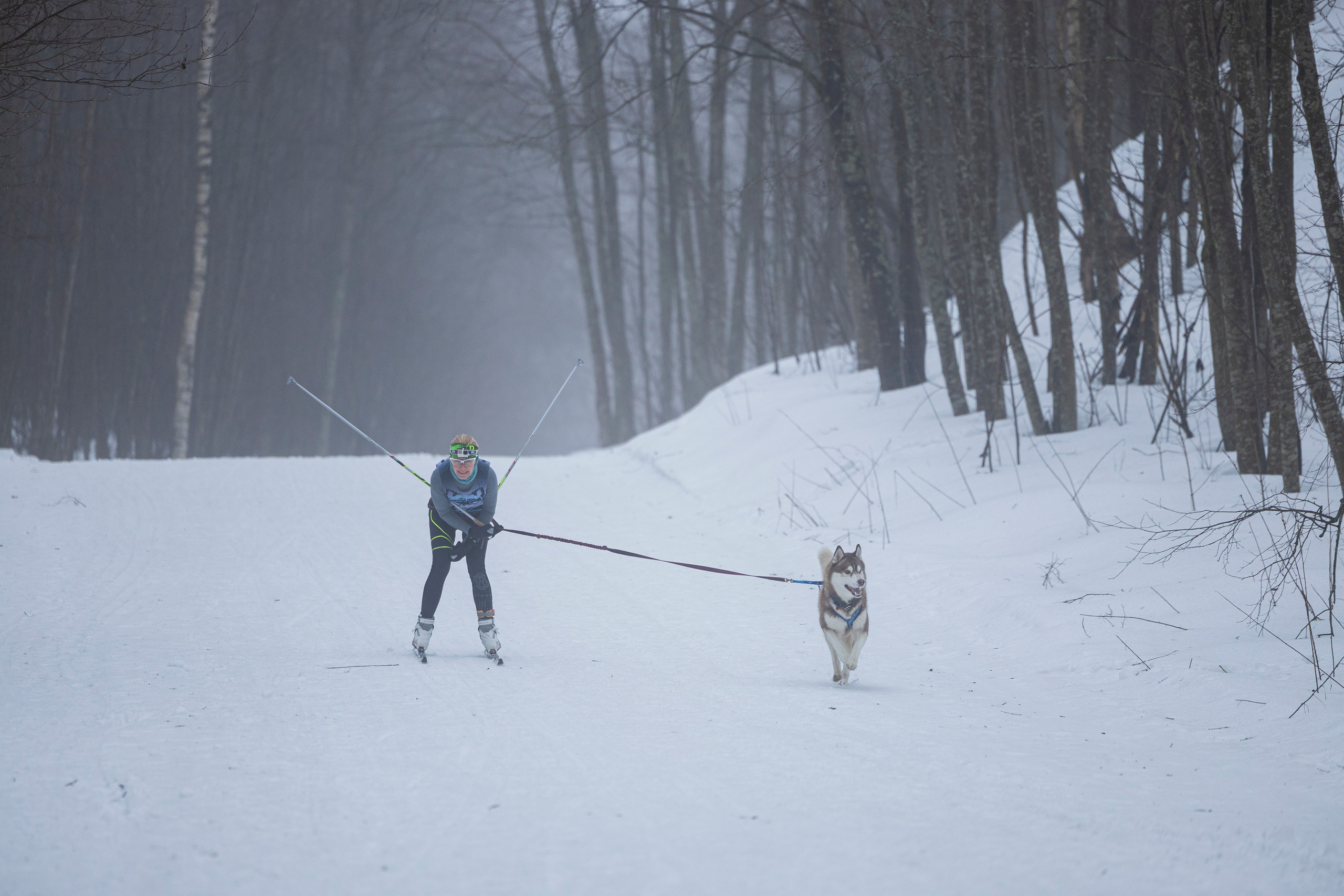 Зимний Чемпионат Санкт-Петербурга по ездовому спорту. Фотограф-анималист Анна Маринич