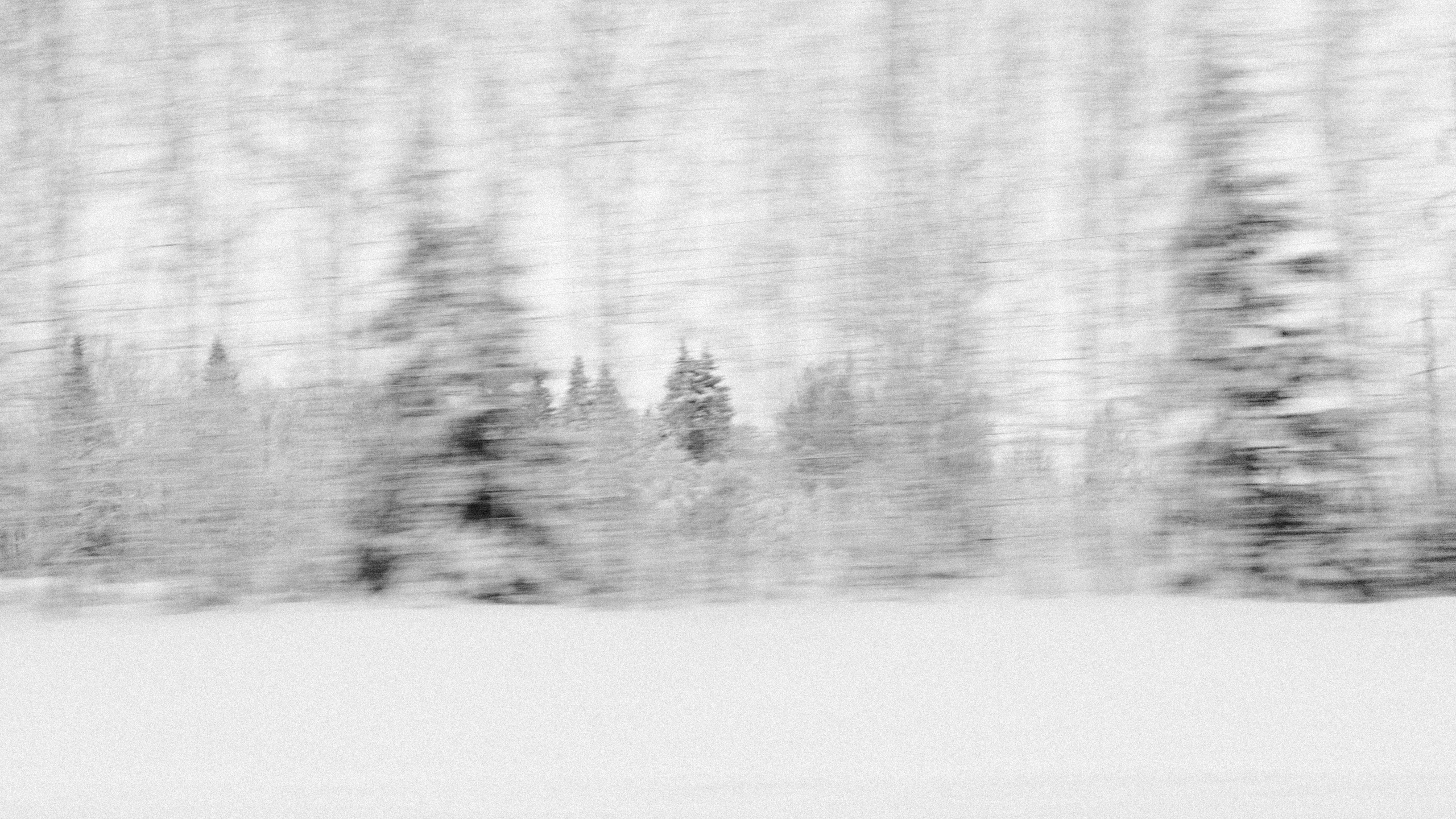 Фотовыставка «Зимость». Декабрь 2025. Лена Крутова. Фотограф в Москве