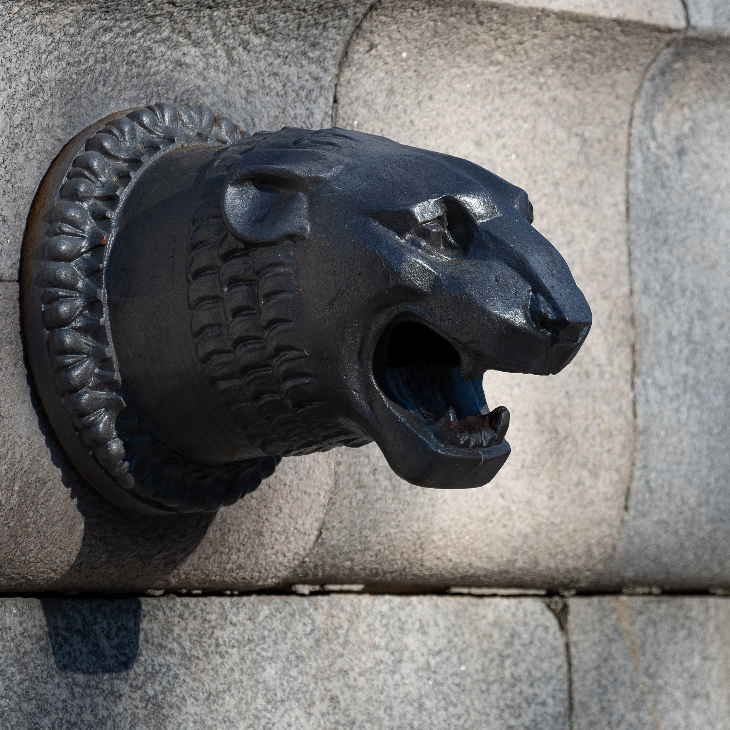 20211010 МГУ. Дмитрий Ремизов. Фотография, как хобби