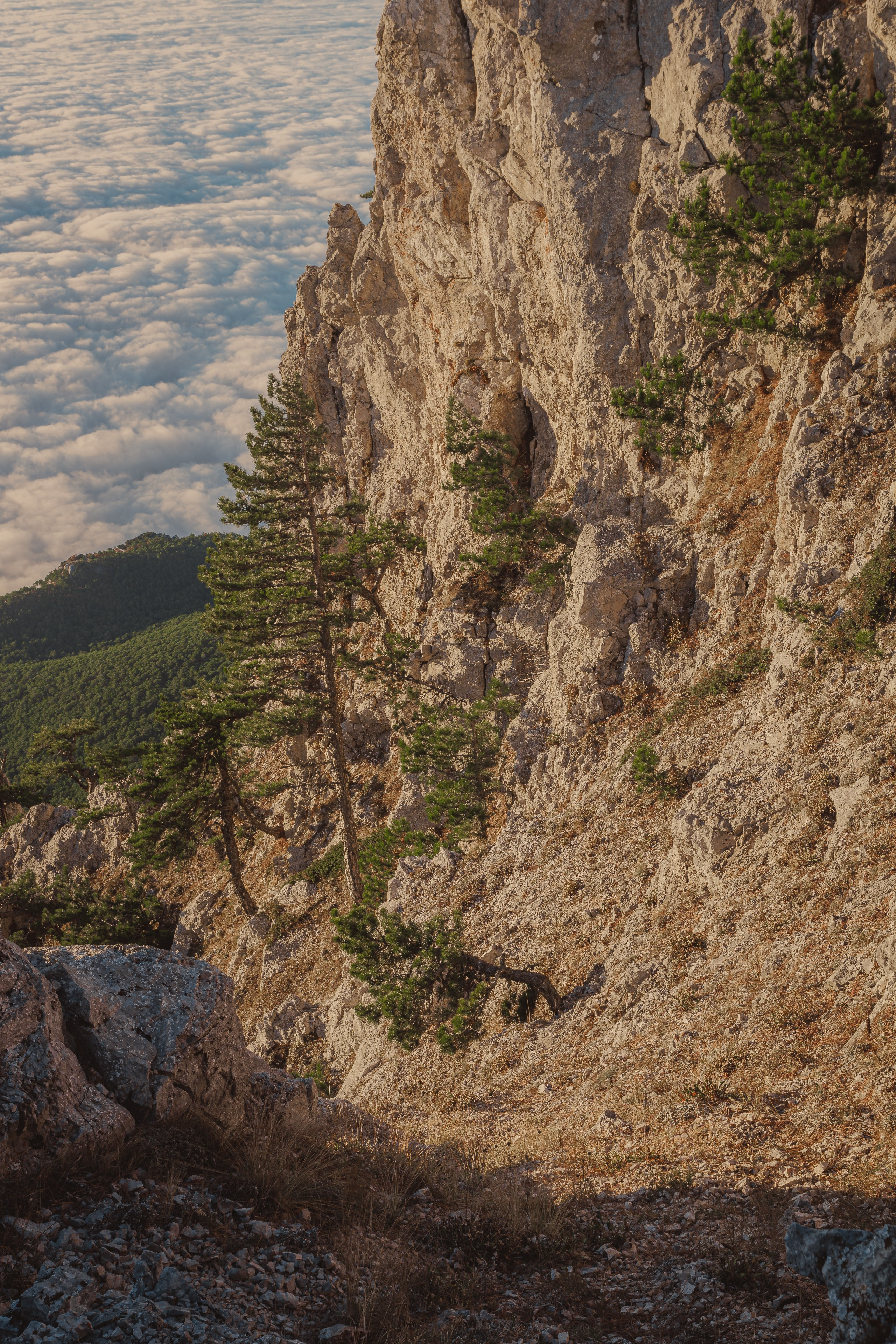 Пейзажная фотография. Фотошкола ArtFotoLife для начинающих и продвинутых фотографов