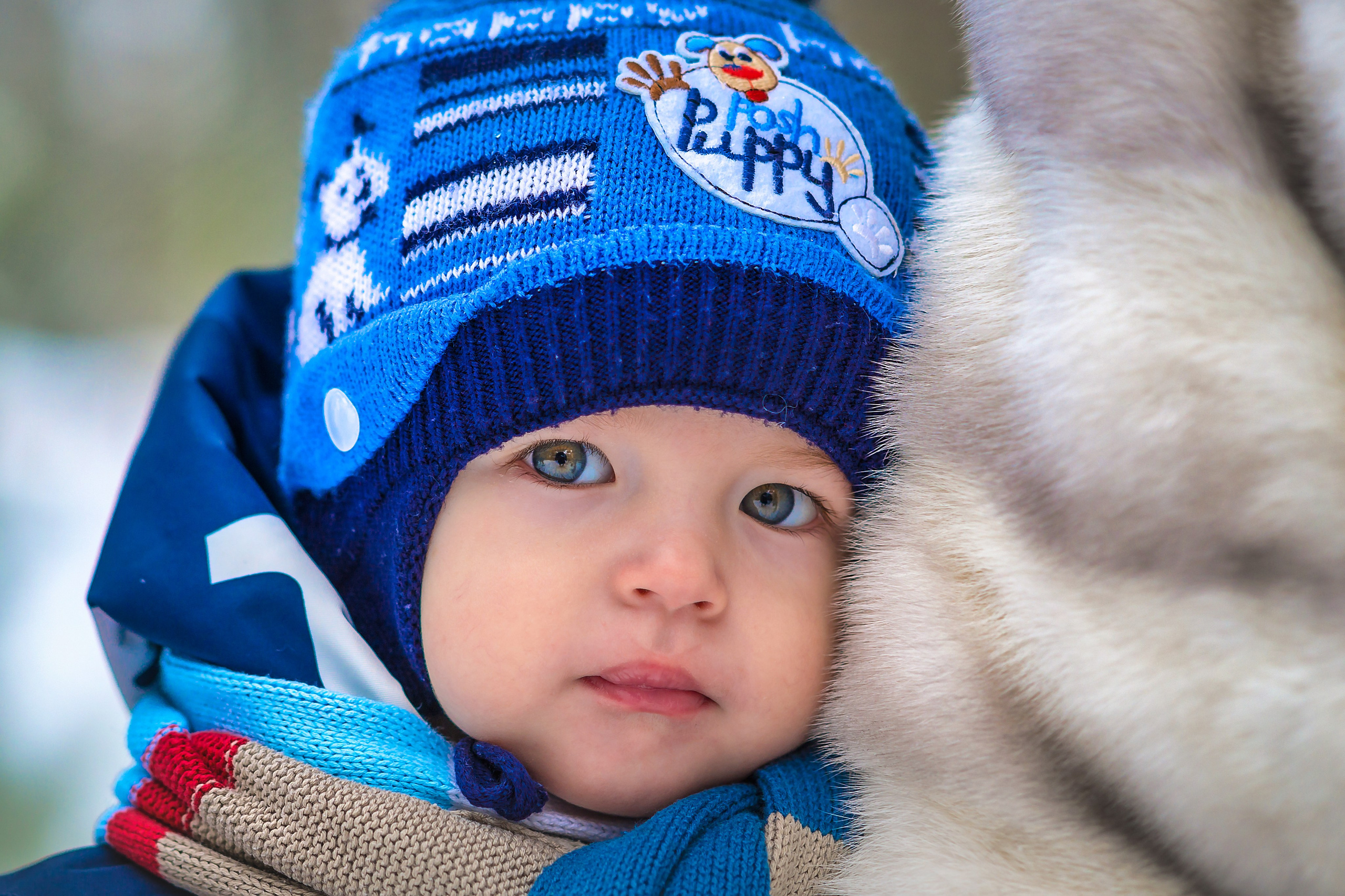 Семейная фотосессия зимой. Фотограф Владимир Артамонов