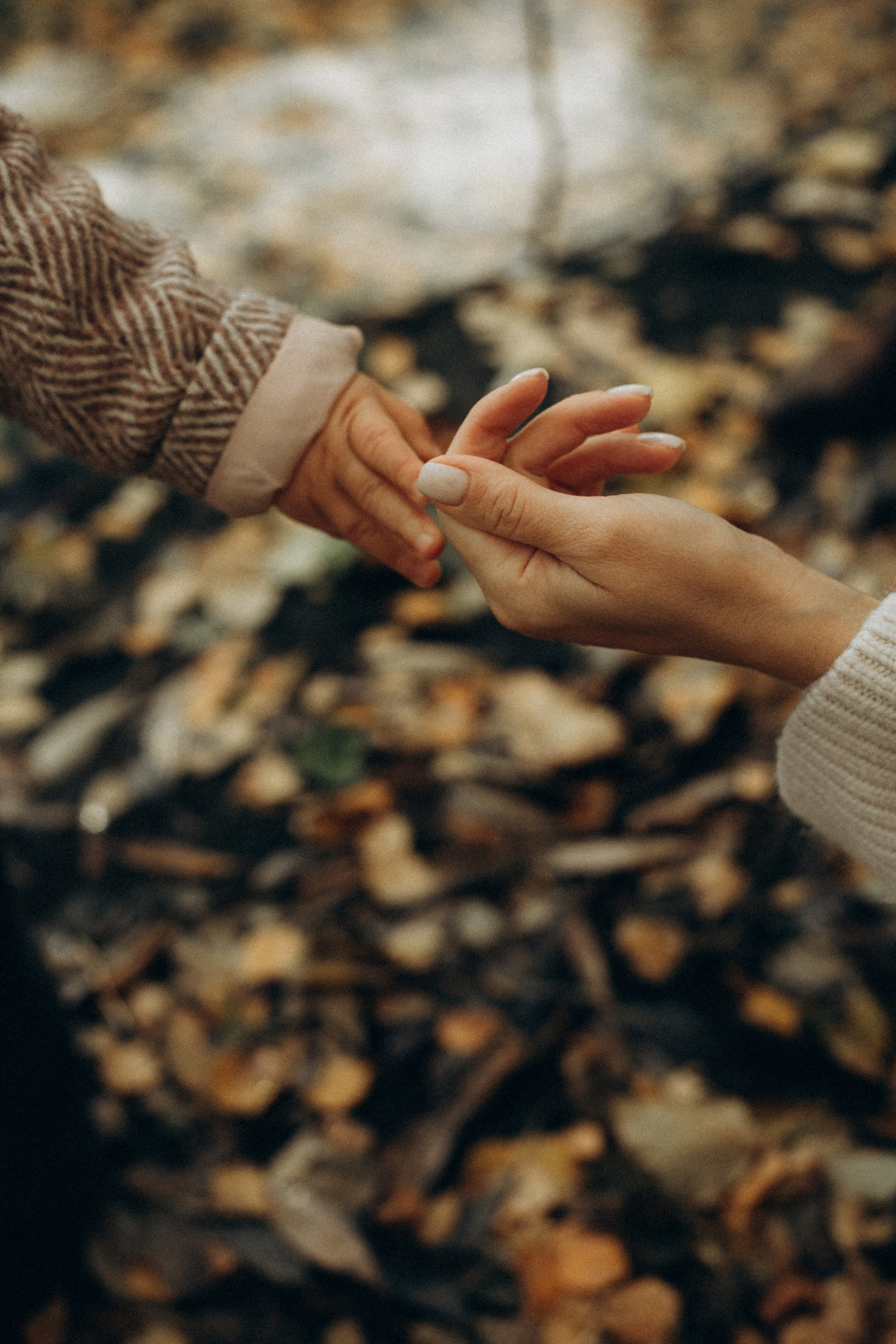 Никита Алеся Стеша. Семейный фотограф в Минске и РБ Стеликова Анна