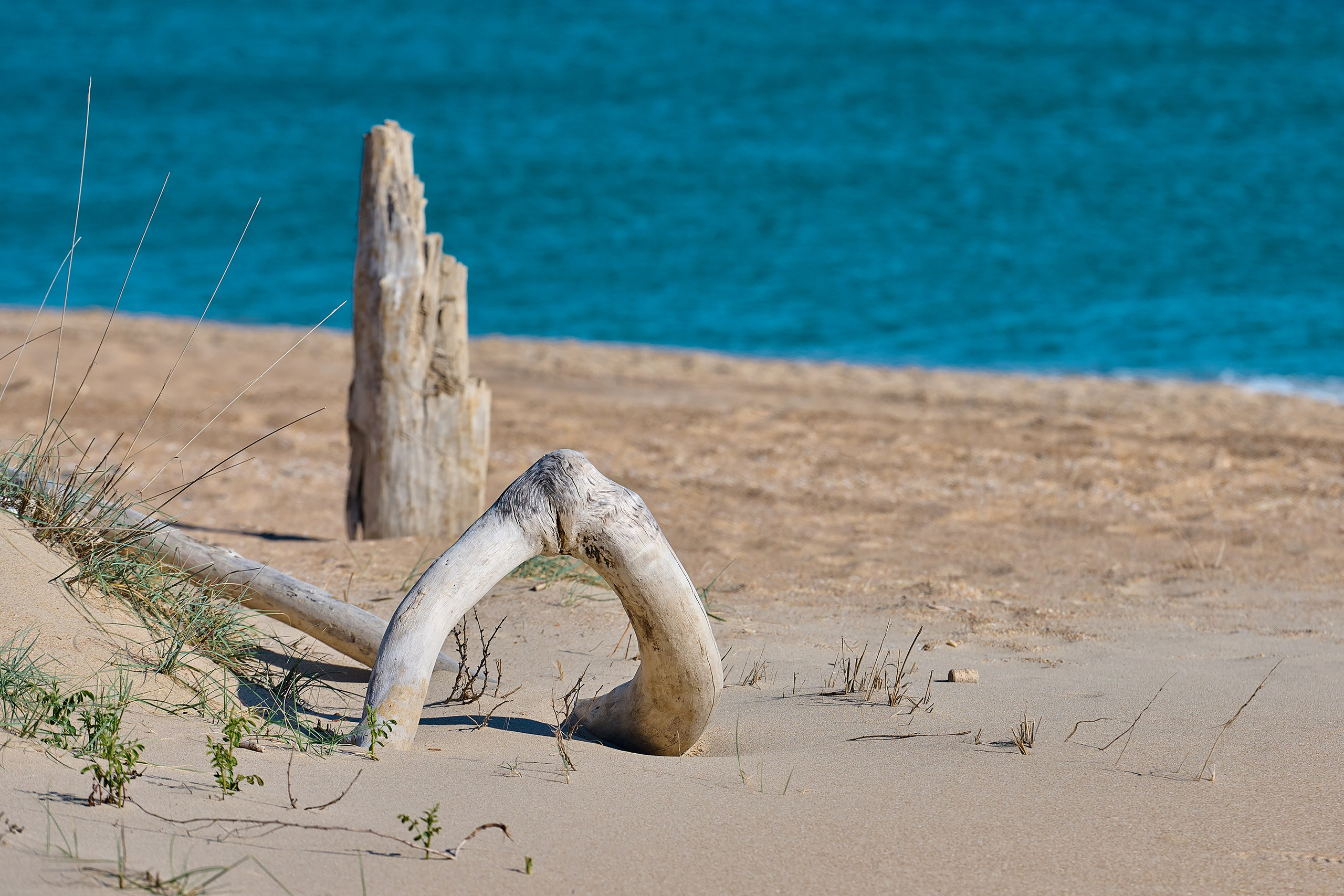 станица Благовещенская, Краснодарский край, пляж, песок