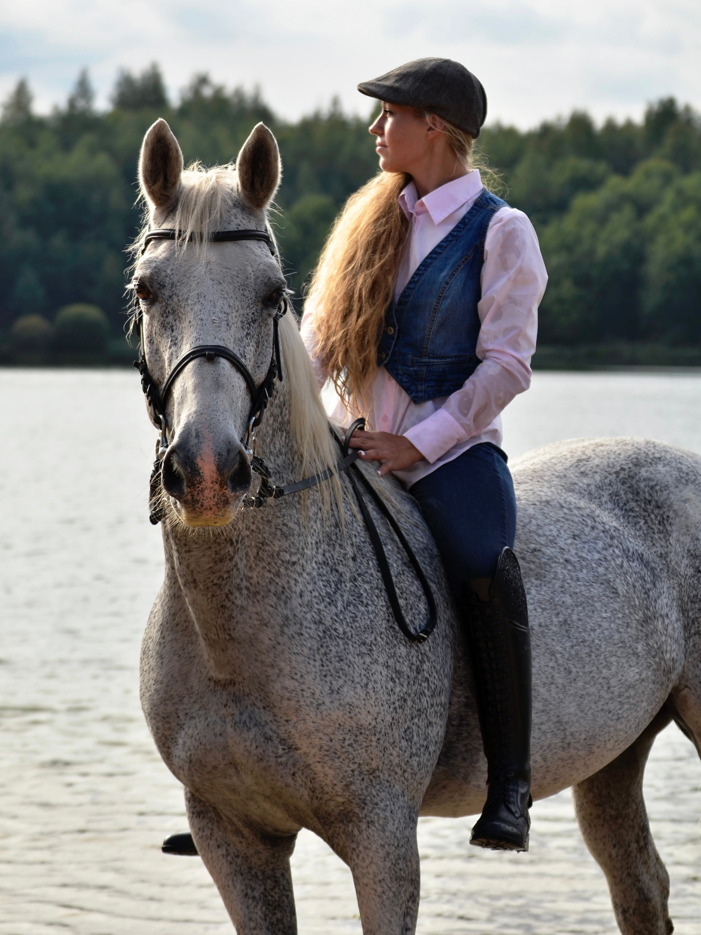 Лошади. Фотограф анималист