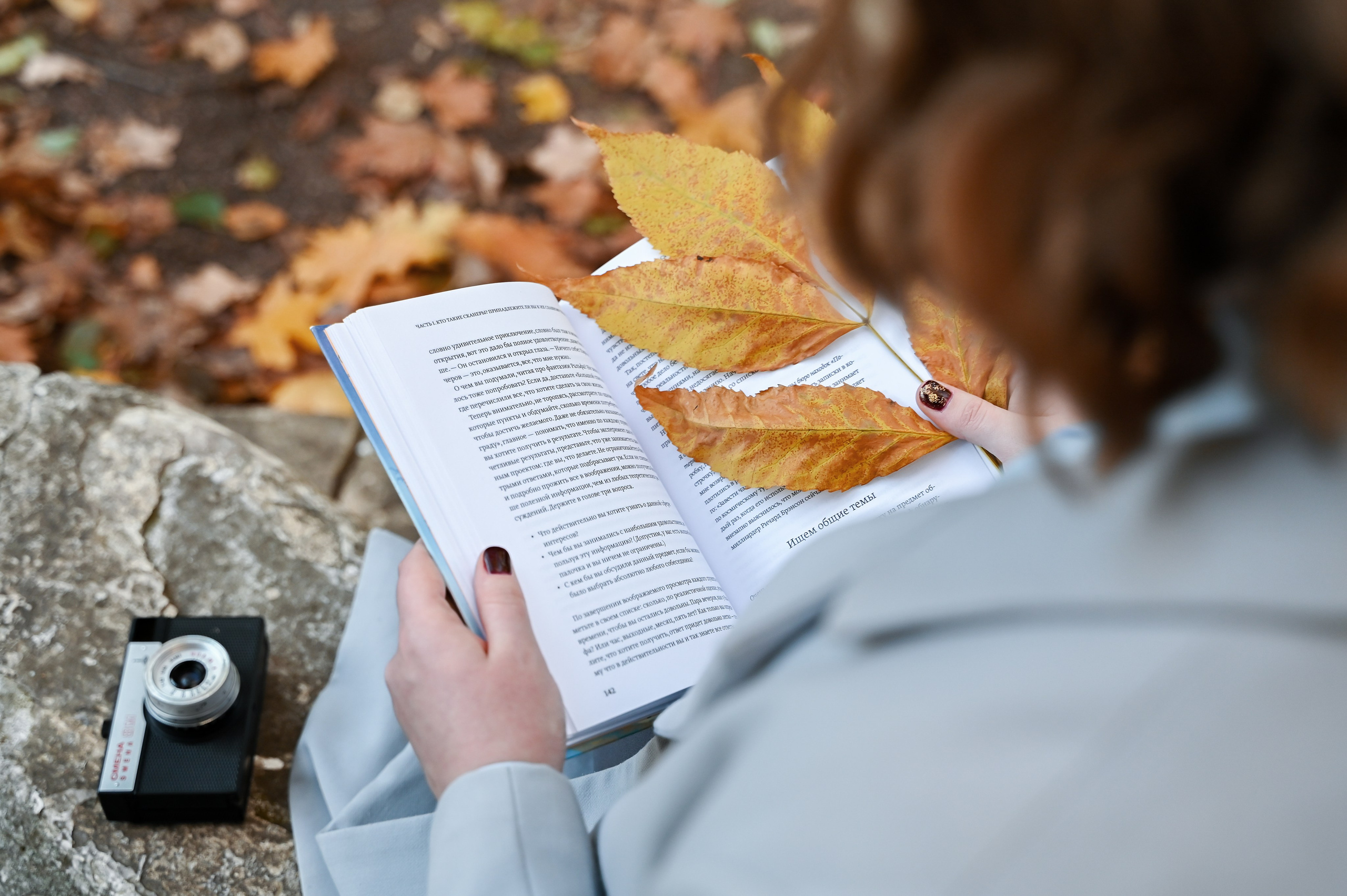 Осень в парке Горького